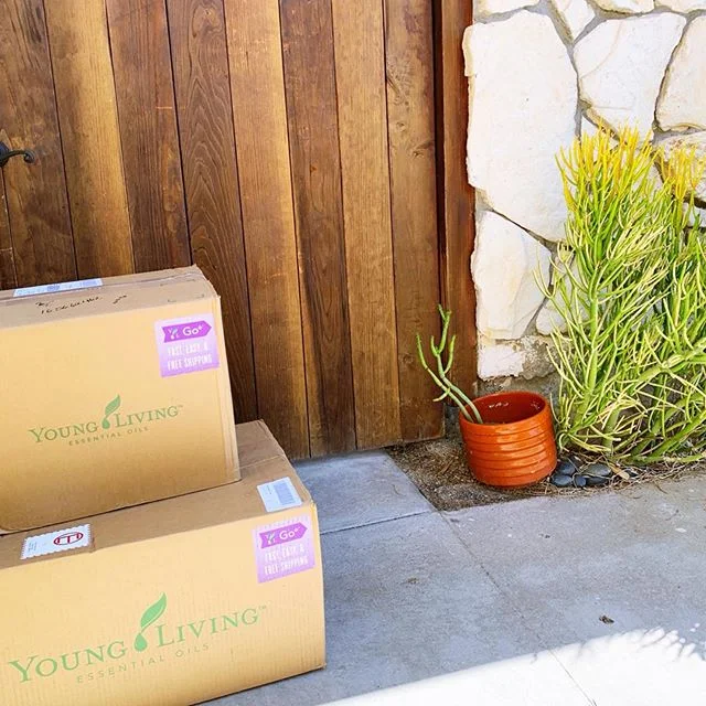 I suck at gardening. And dishes. And laundry. And housekeeping. The inside of our house is setup for Halloween but I don't yet have my ish together with a cute Fall porch like those I see all over here. But, the one thing I've done right is replacing