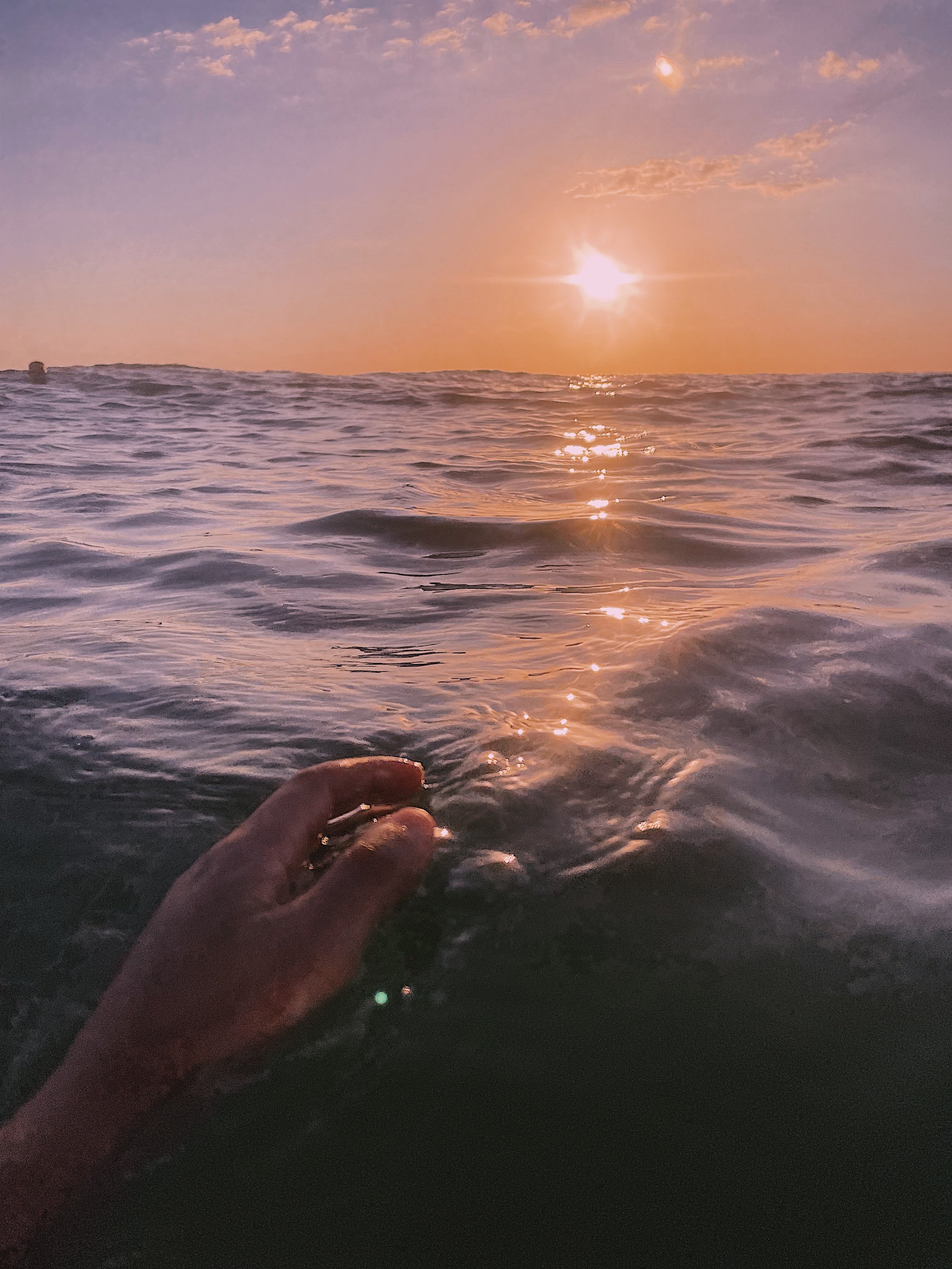 Honeymoon Island, Florida