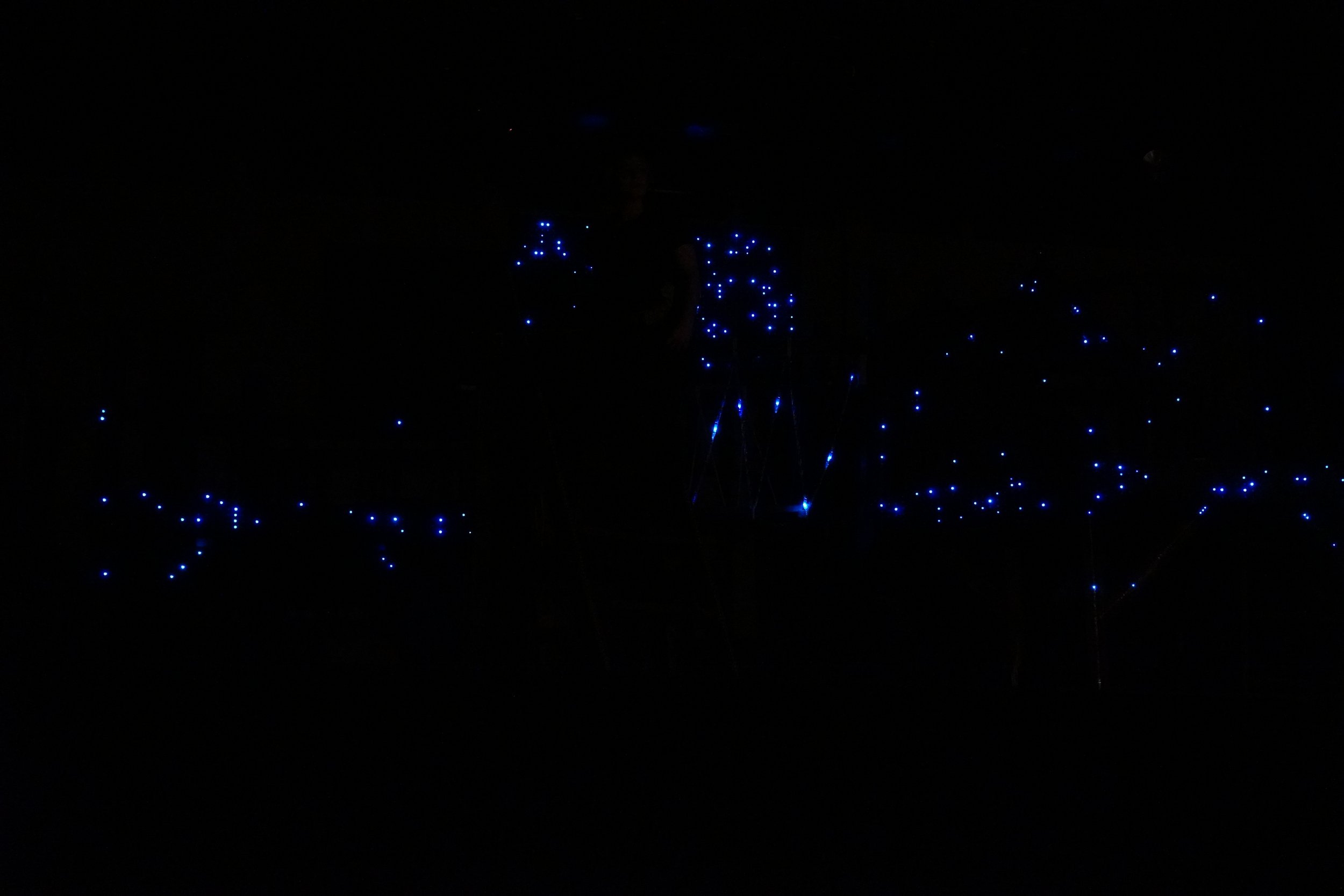 DSC09622.JPG