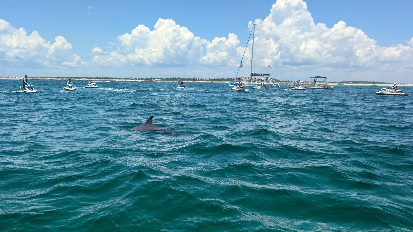 On vacation for a bit... Currently out in the Gulf helping people spot the dolphins 🐬 Happy 4th everyone! 🎇