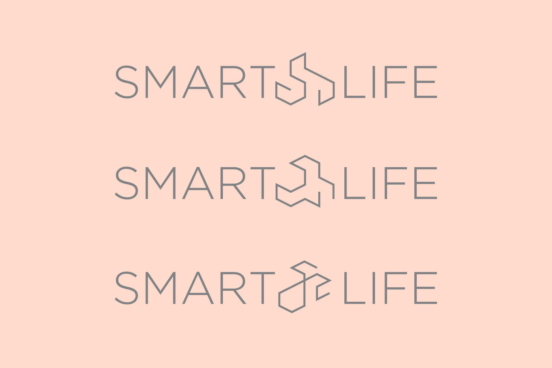 SmartLife_sqsp_01.jpg