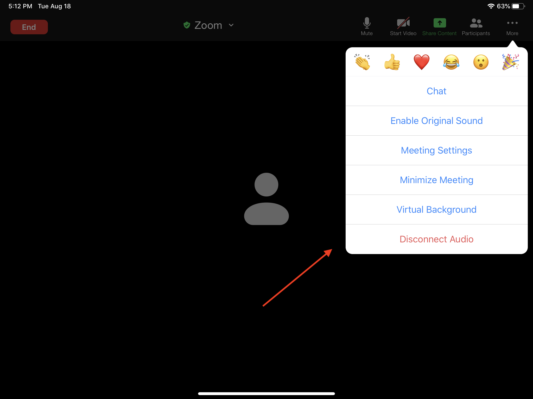 Disconnect Audio.PNG