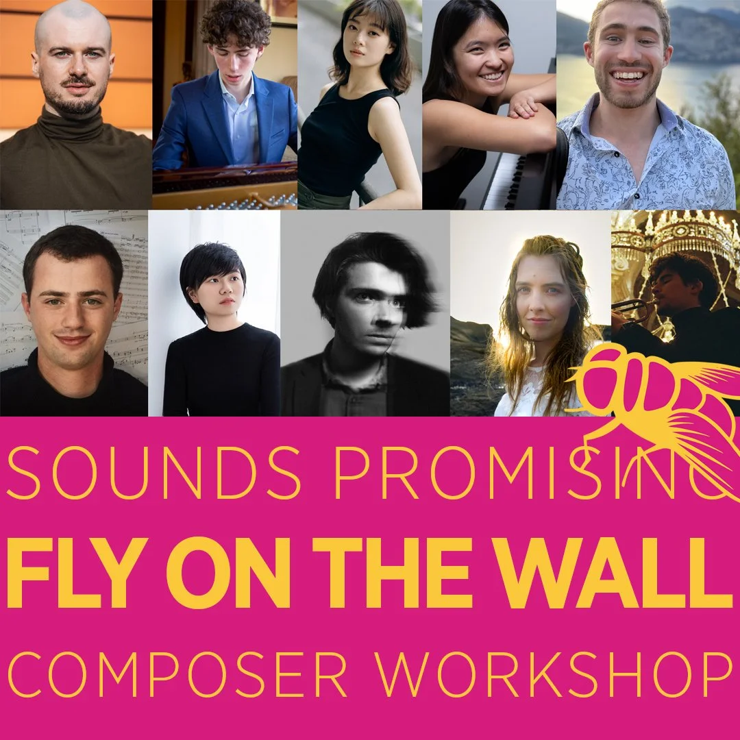 Sounds Promising Fly on the Wall Workshop #3