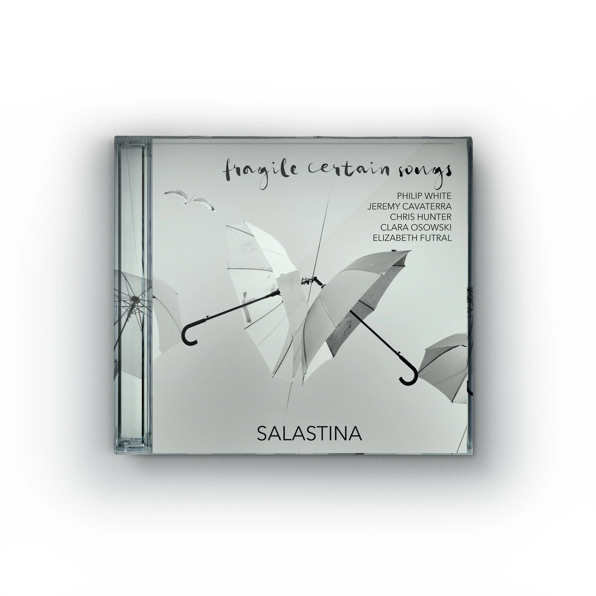 fragile songs cd copy.jpg