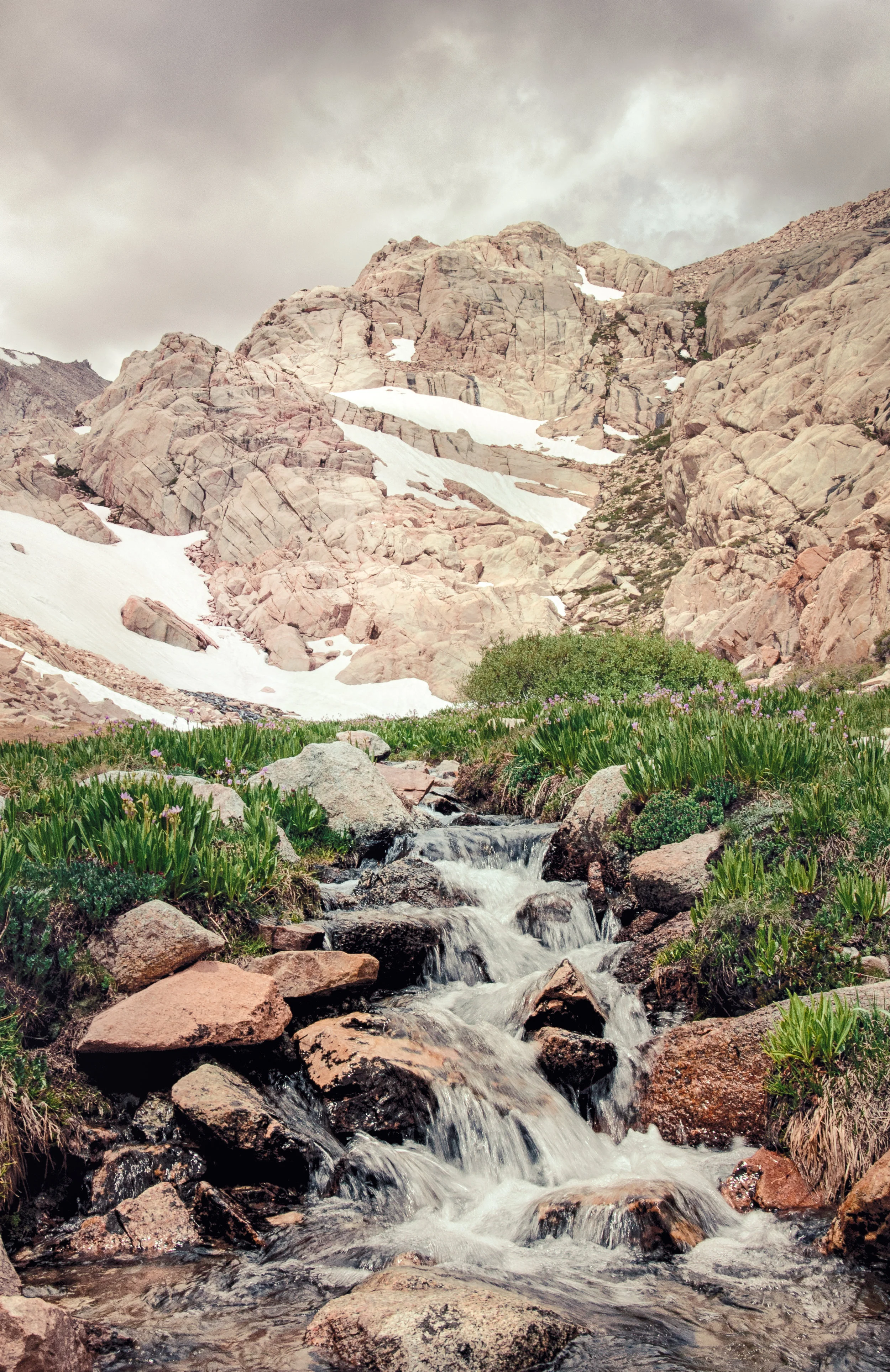 Rugged Ribbon