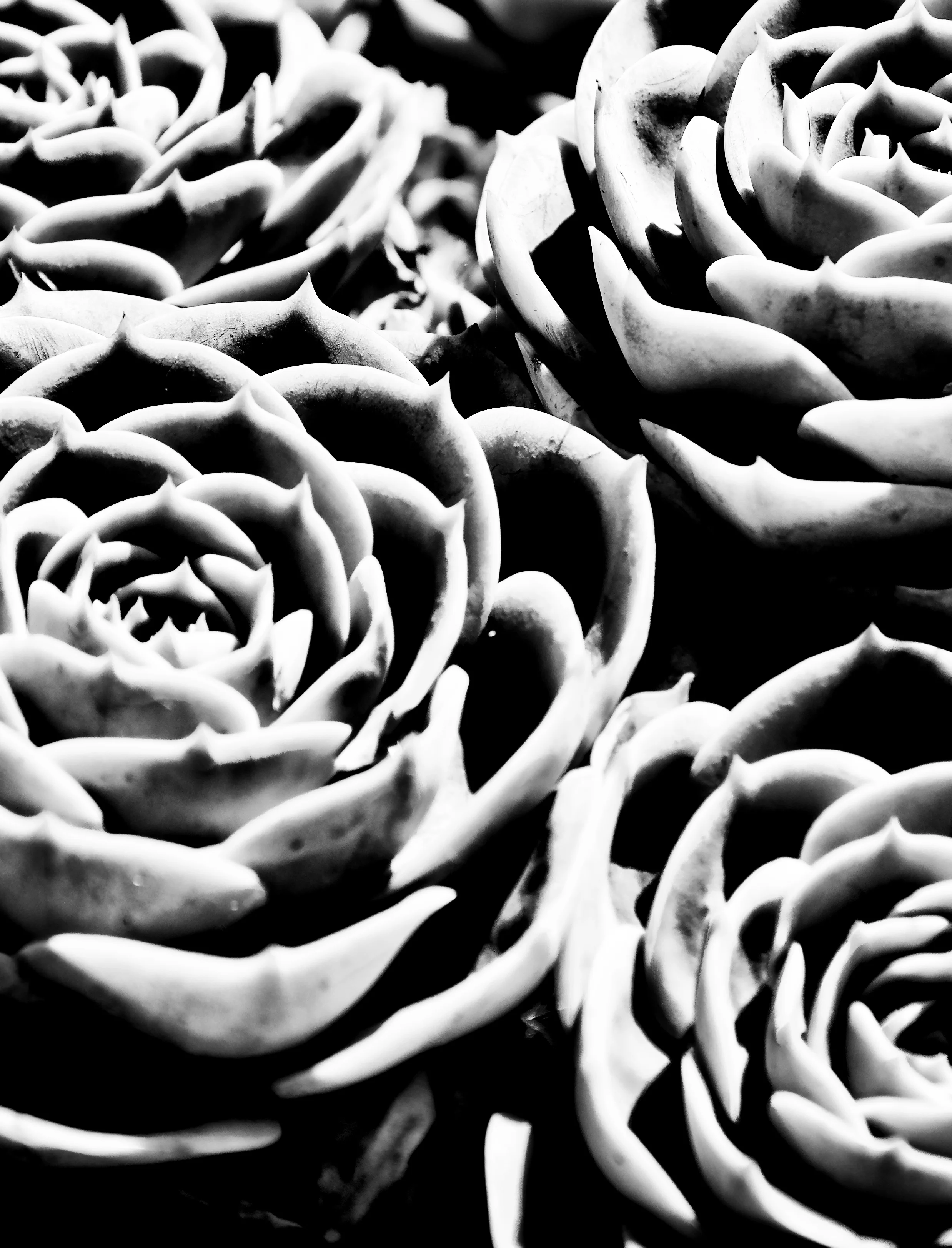 _DSC0843_DxO-Edit.jpg