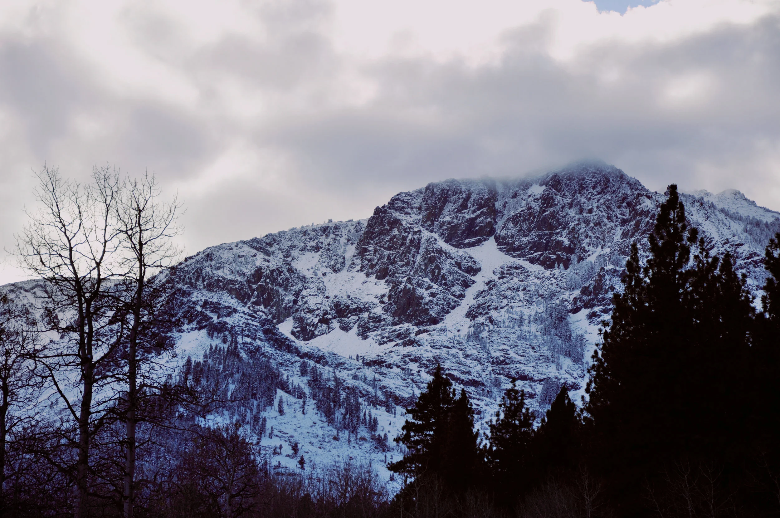 Winter