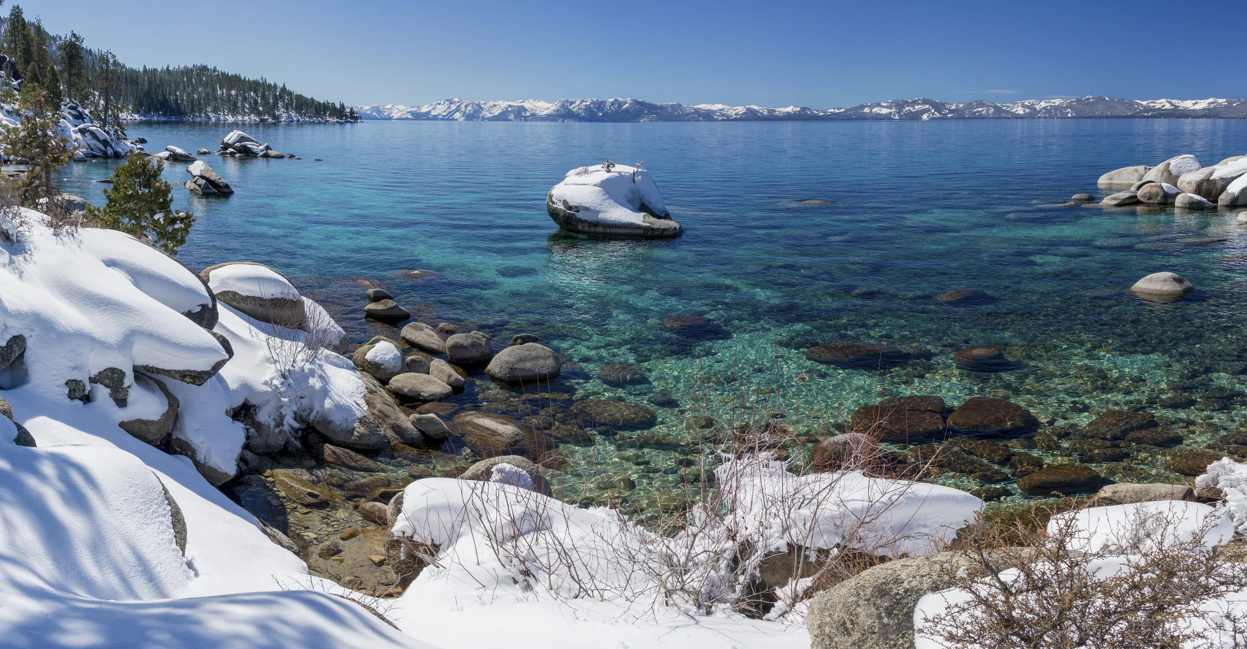 Winter's Eastweb.jpg