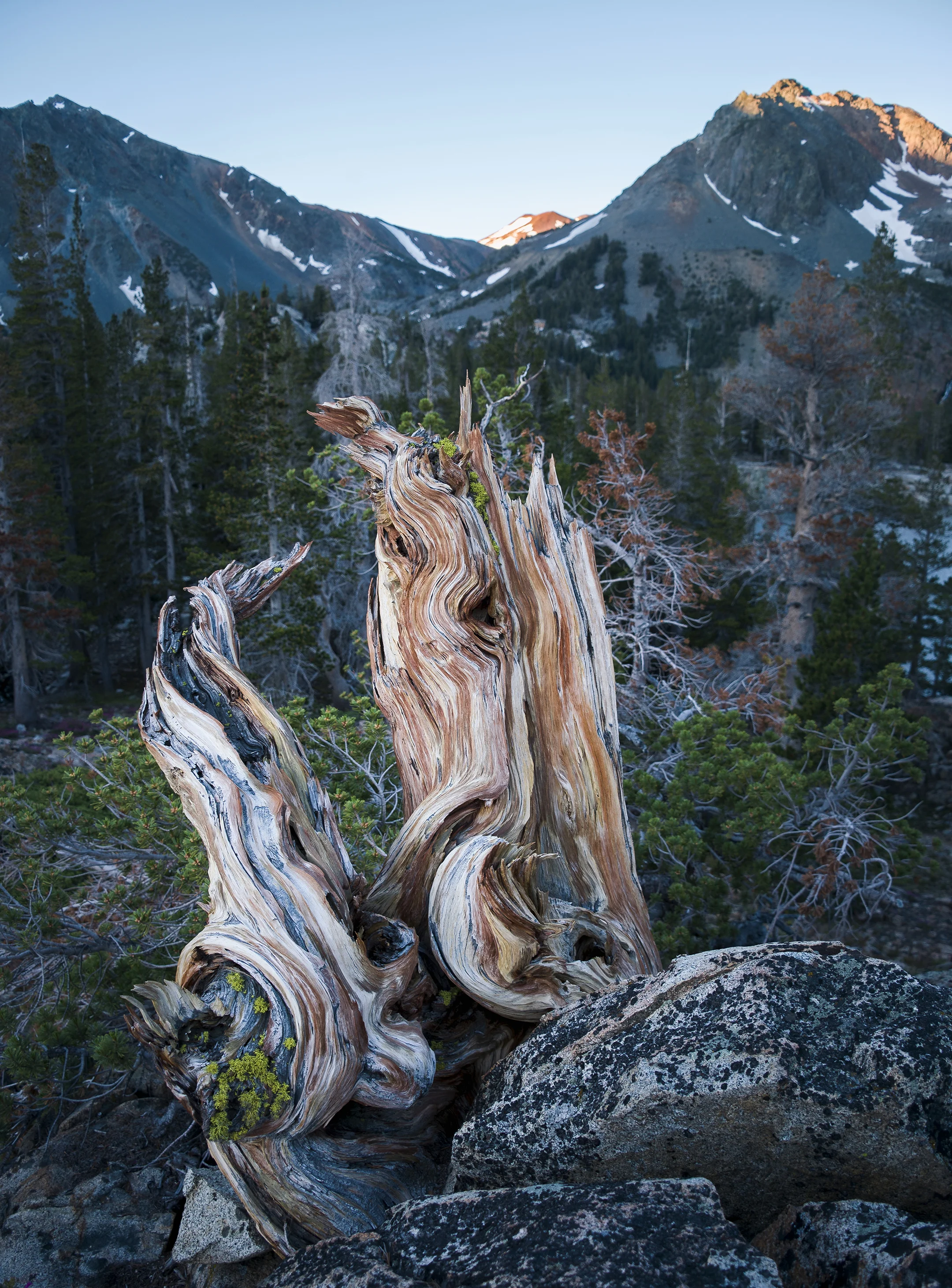 Totems