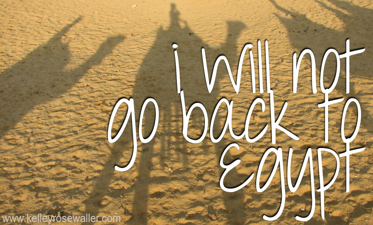 i-will-not-go-back-to-egypt.jpg