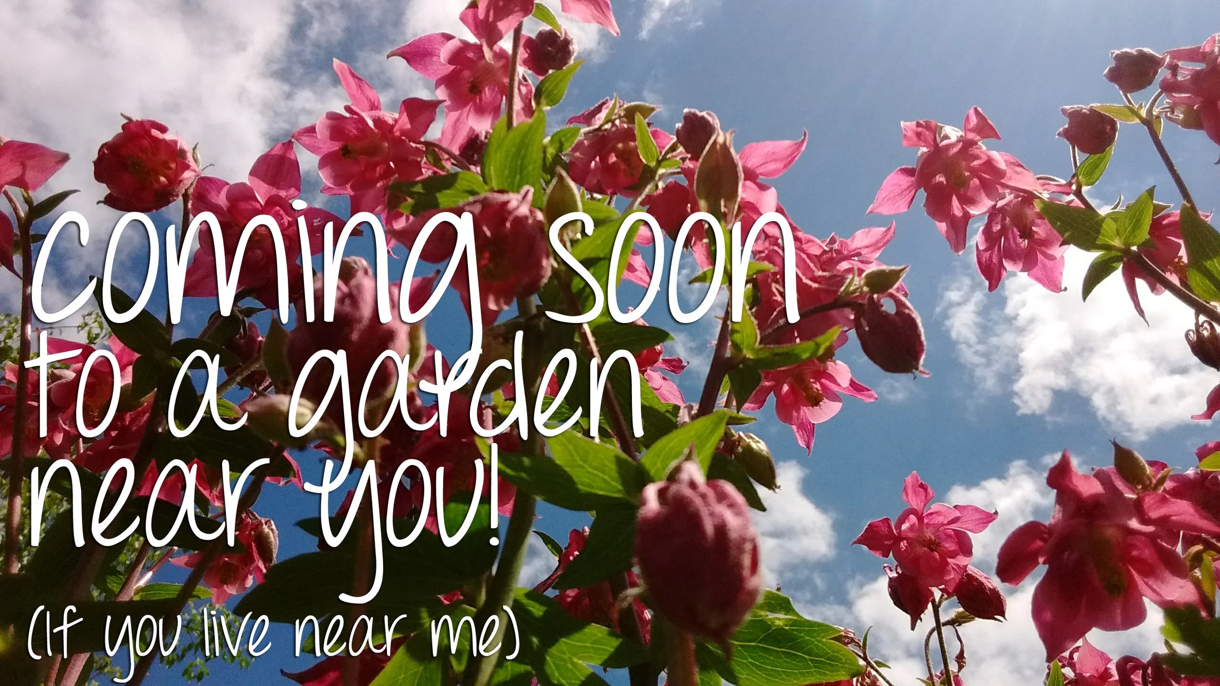 coming-soon-garden.jpg
