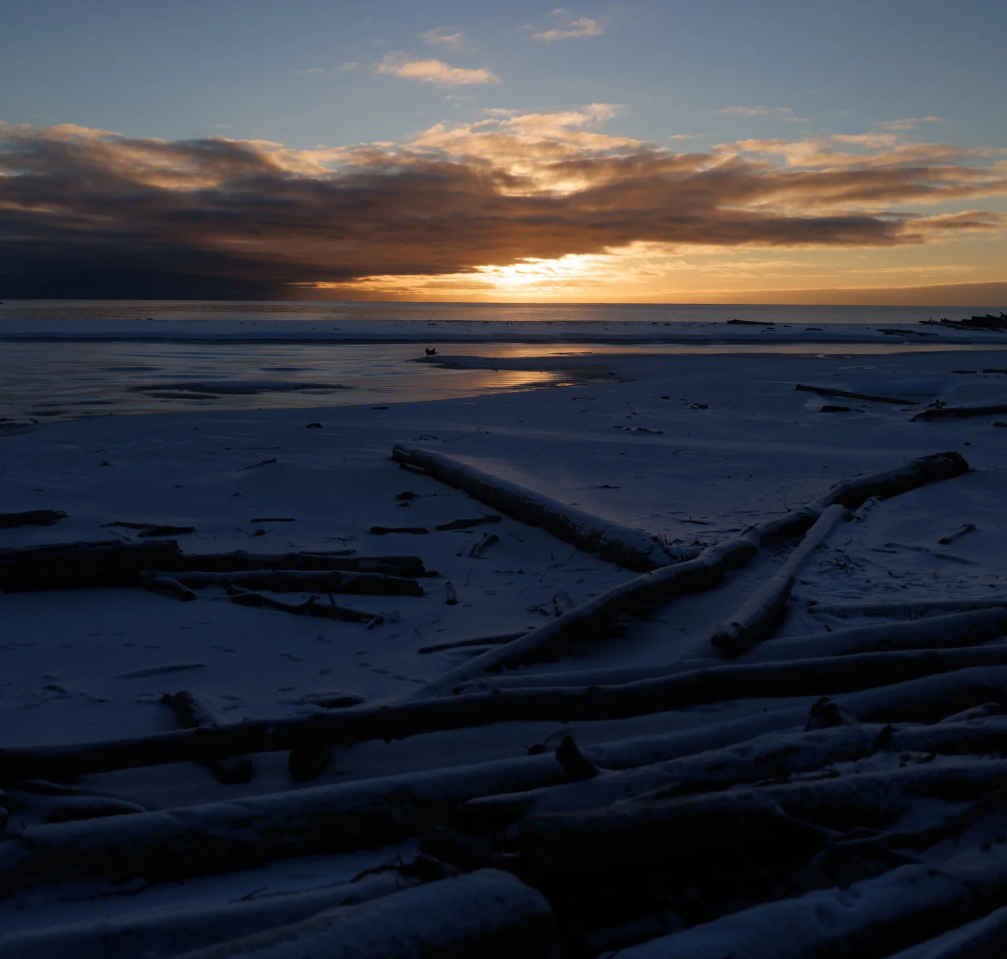 412A8739-Pano copy.jpg