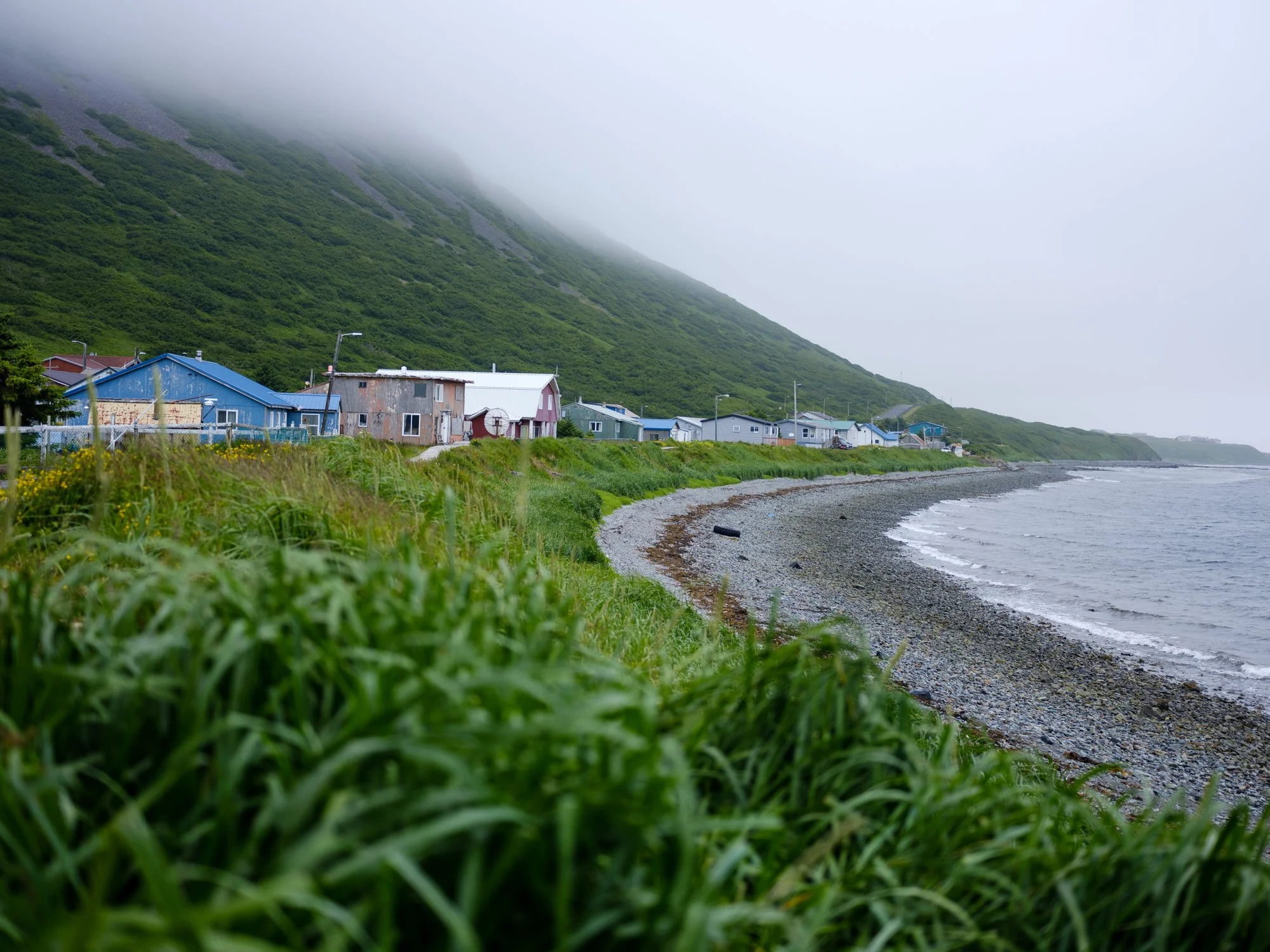 DSCF8596.jpg