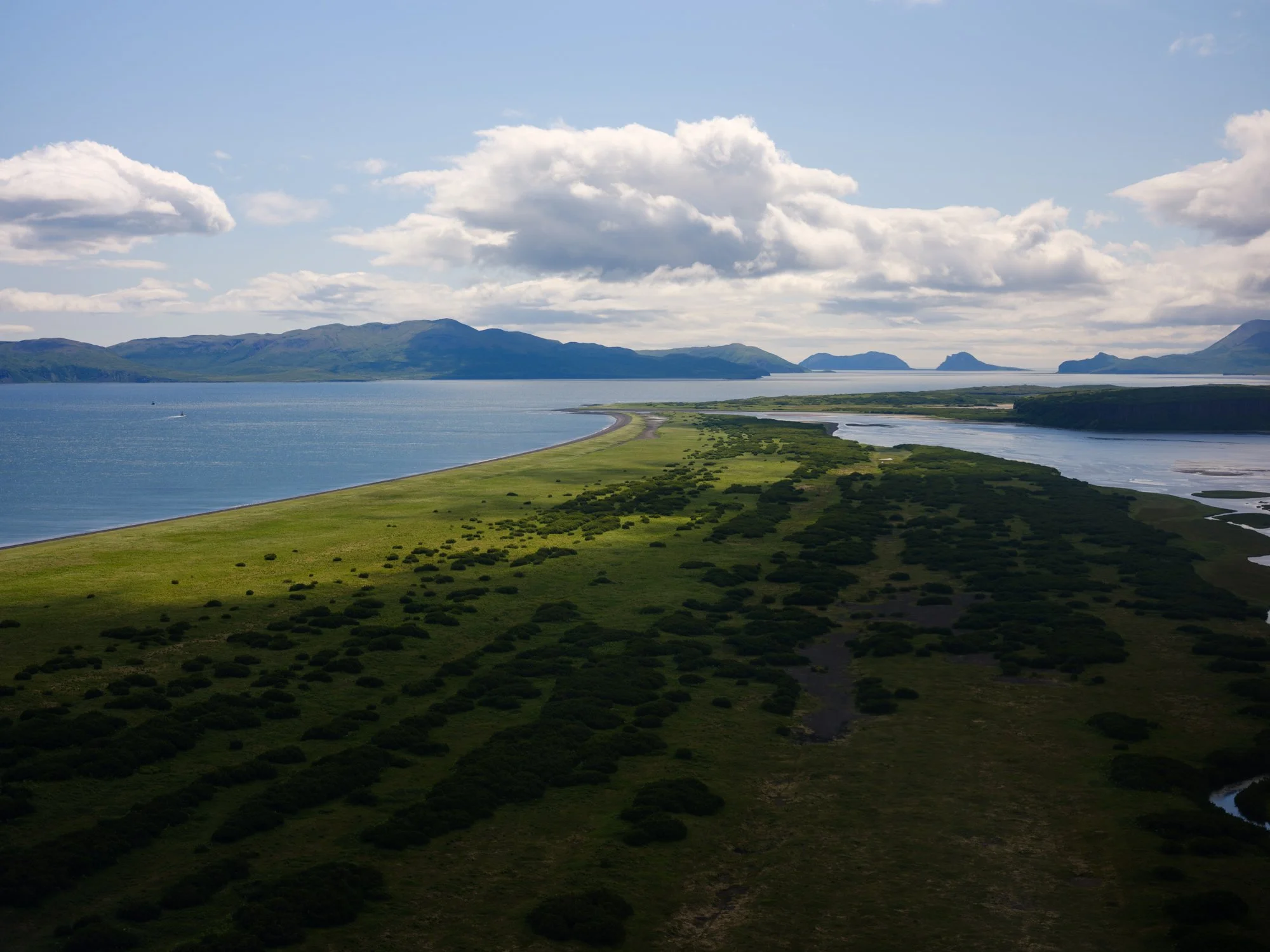 DSCF8116.jpg