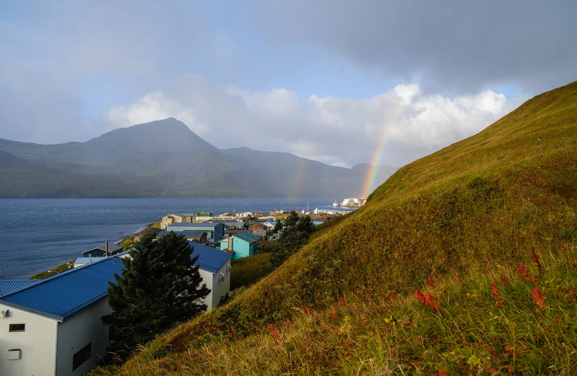 _DSF2605-Pano.jpg