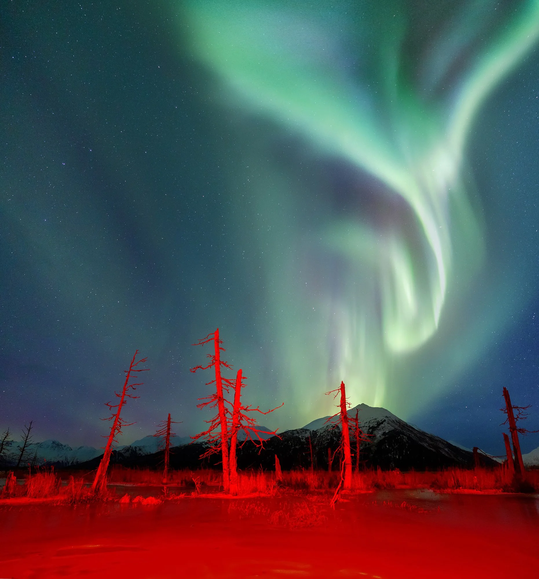 412A8540-Pano copy 2small.jpg