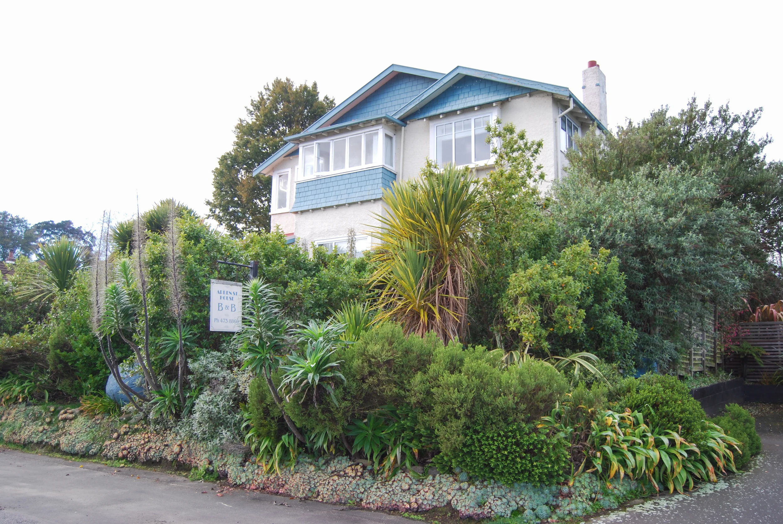 Street View Arden.jpg