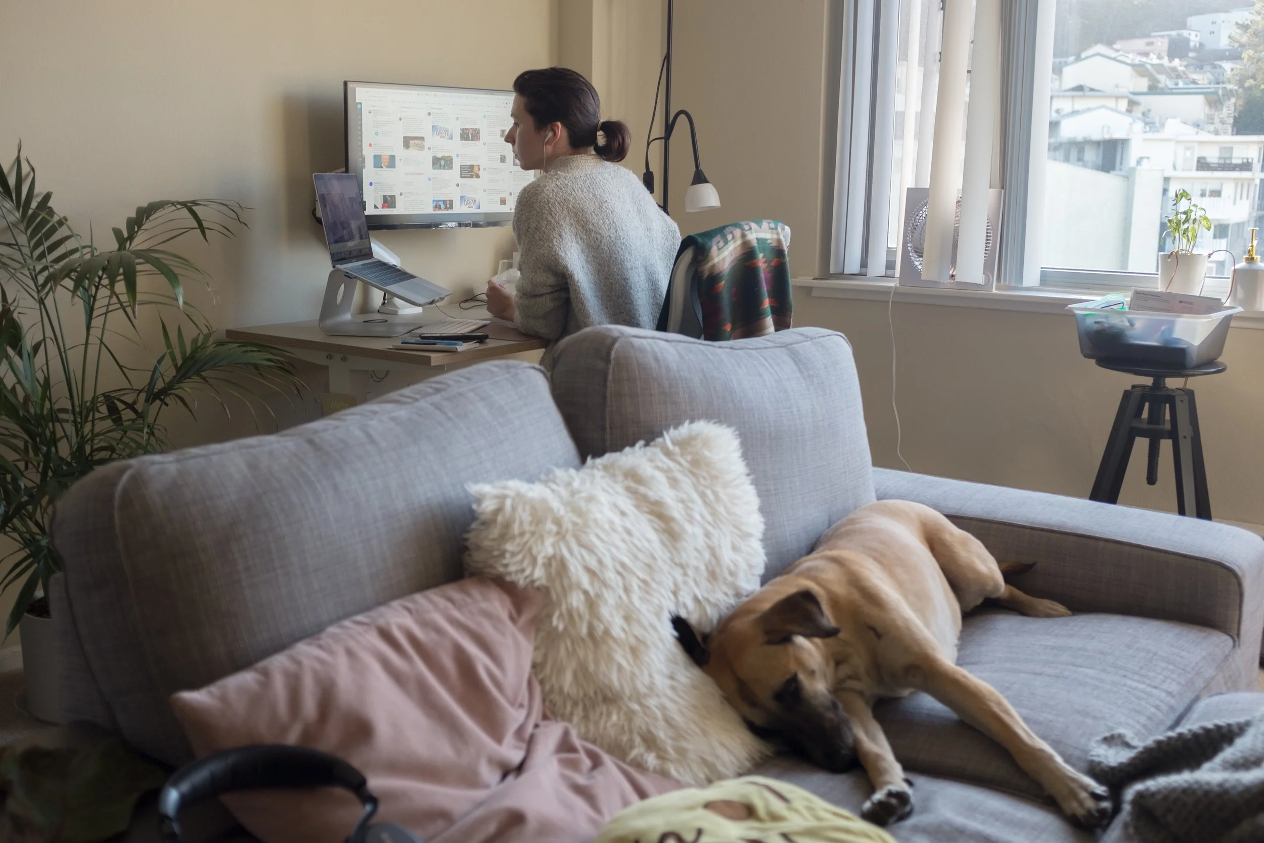 2020 US election and debates at Twitter