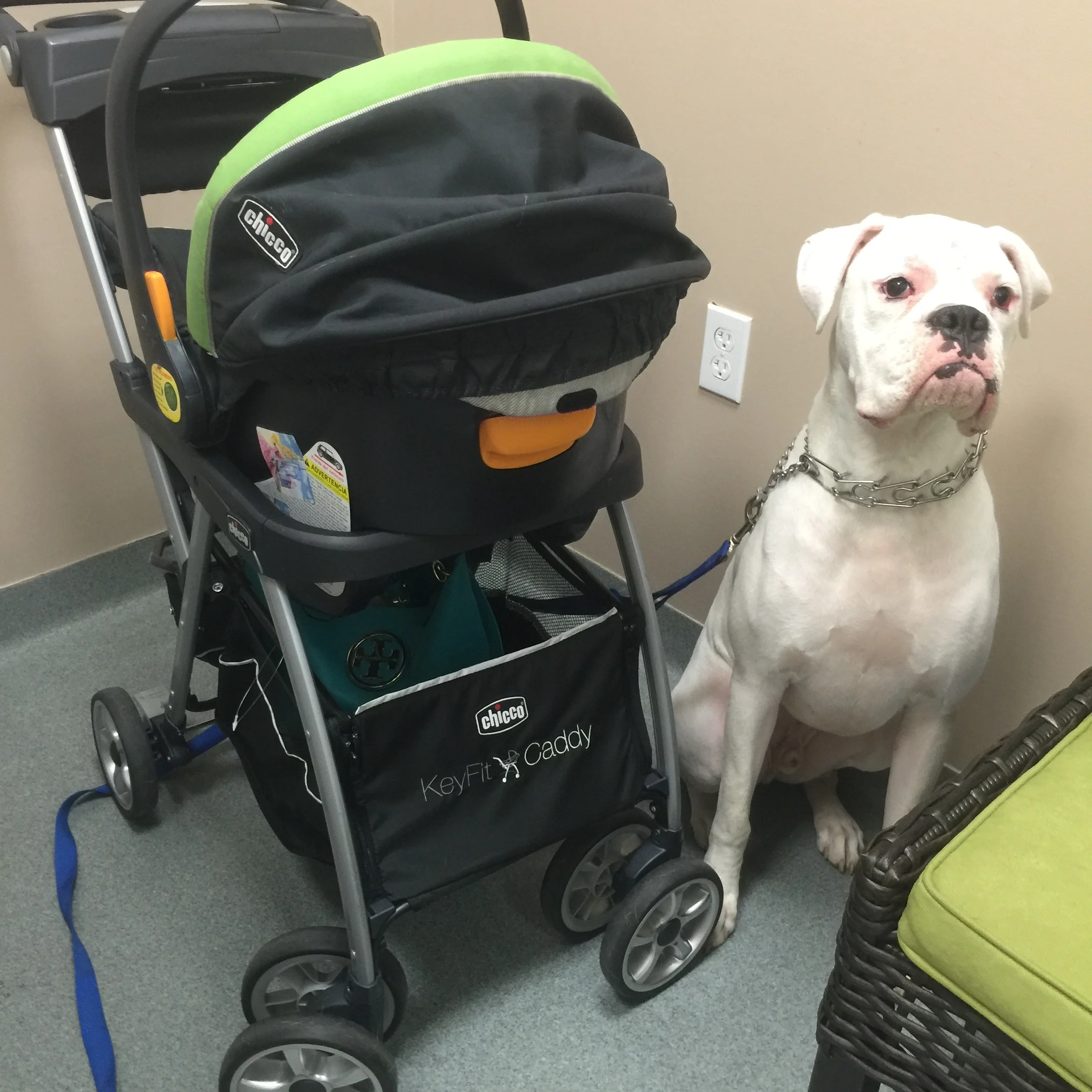 Working Smarter, Not Harder!