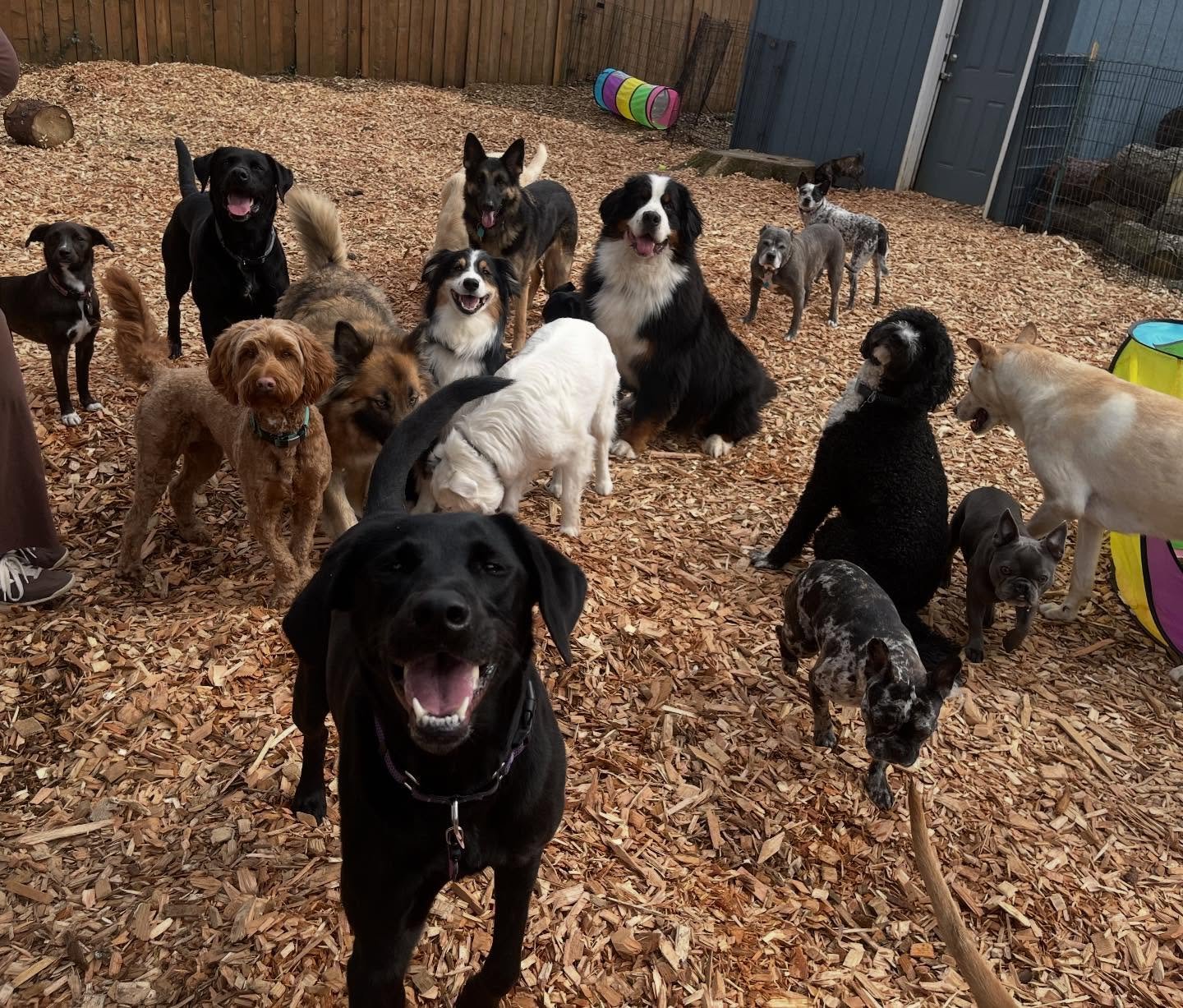 Started the weekend with nothing but smiles!!