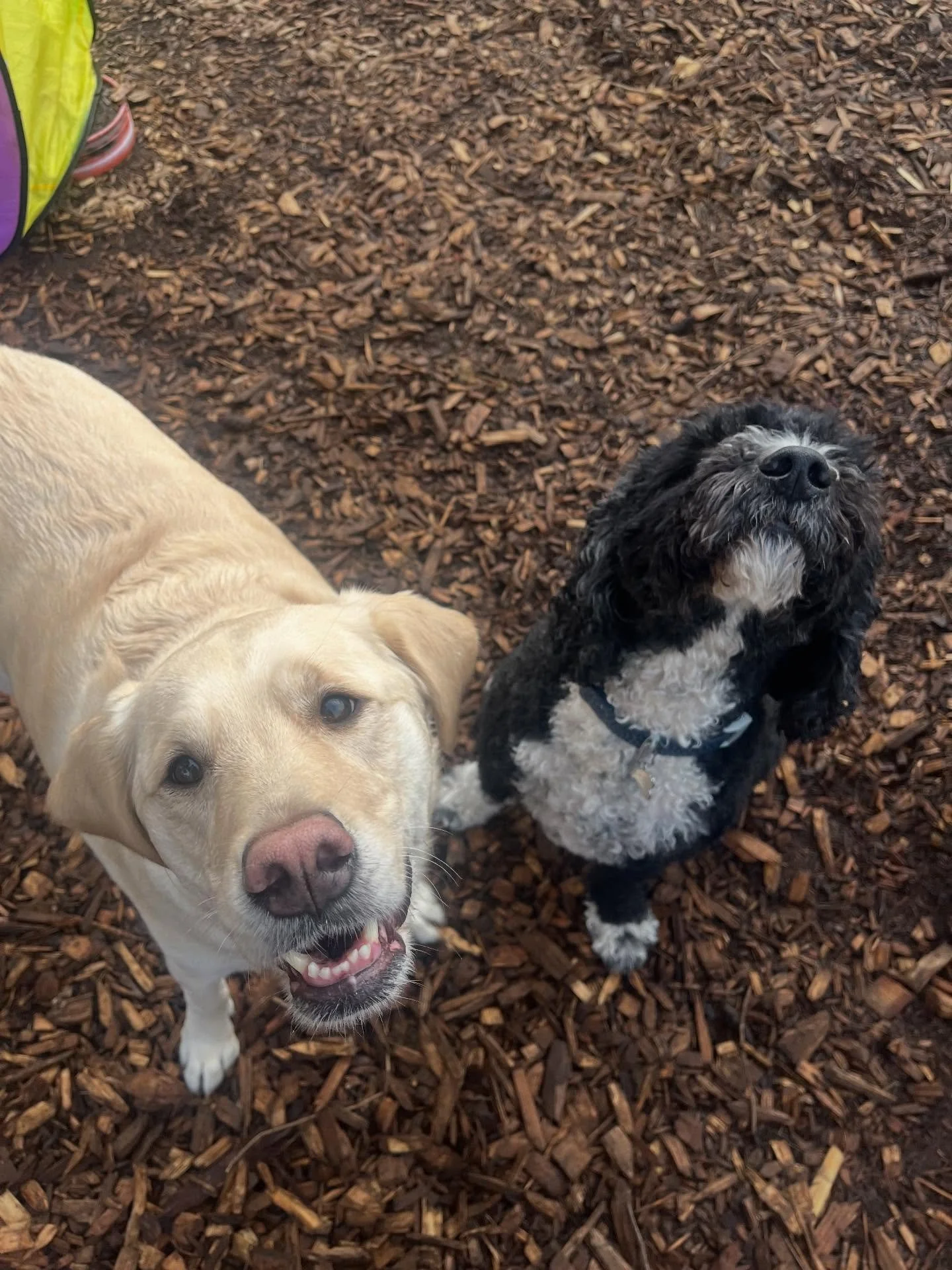 Always big smiles at daycare😆😋
