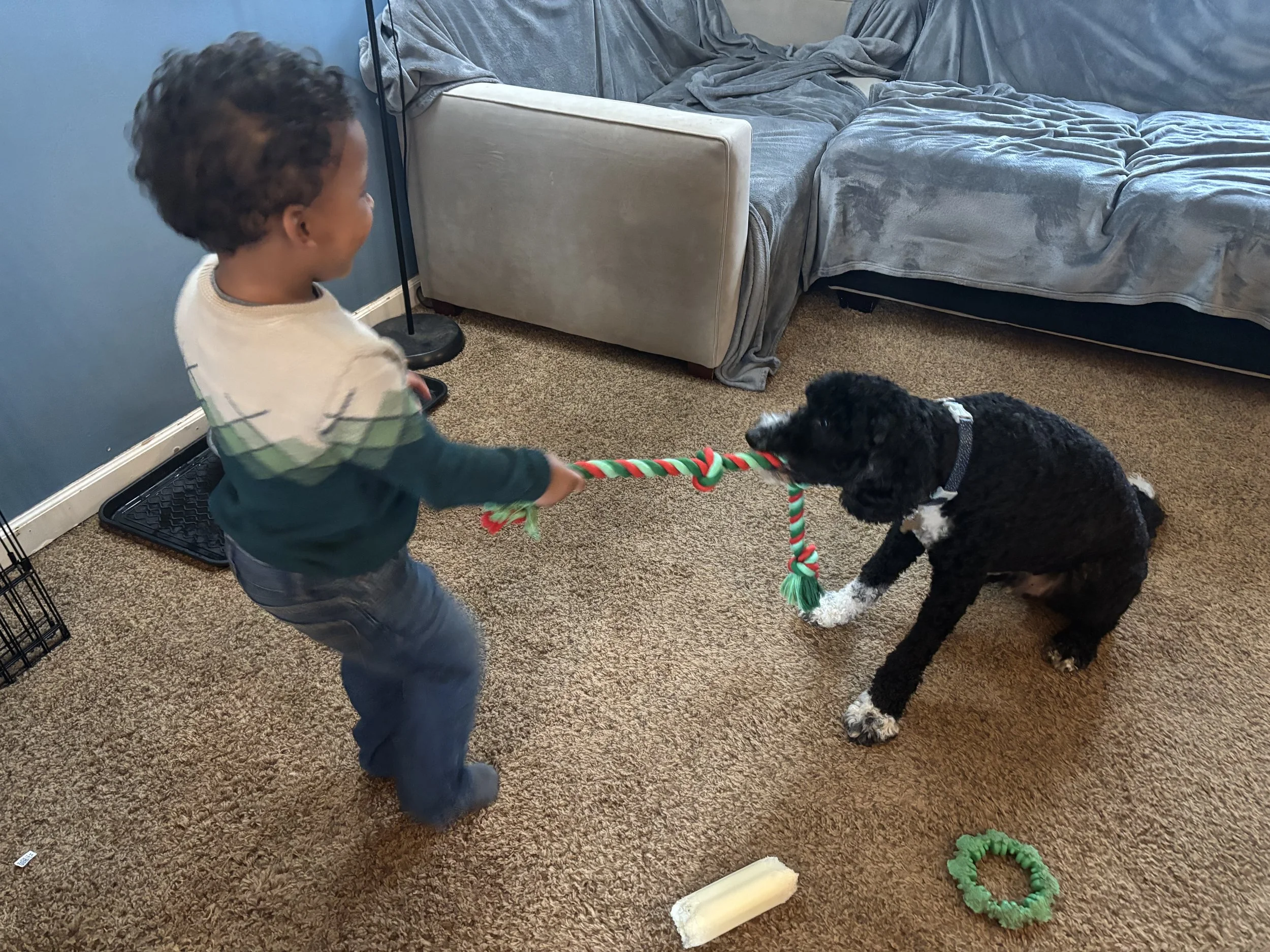 IMG_1540.jpeg