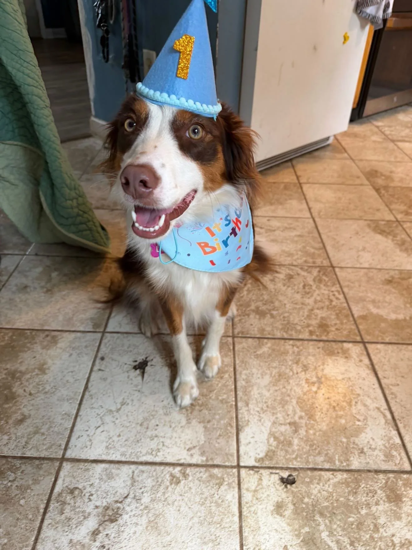 Happy early birthday Lola, we loved spending time with you