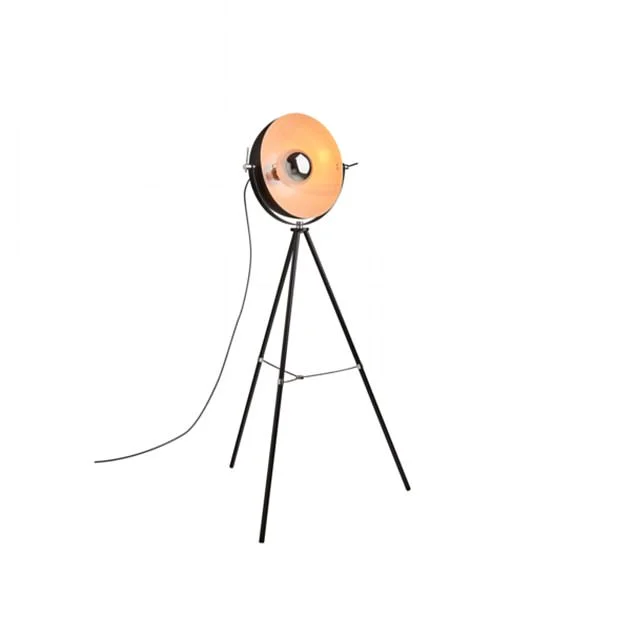 4D067DF400000578-5818625-image-m-15_1528745389438.jpg