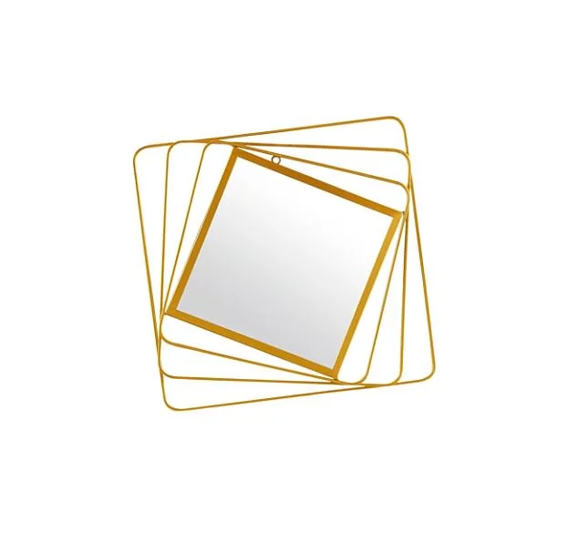 4D067E2500000578-5818625-image-a-6_1528745077294.jpg
