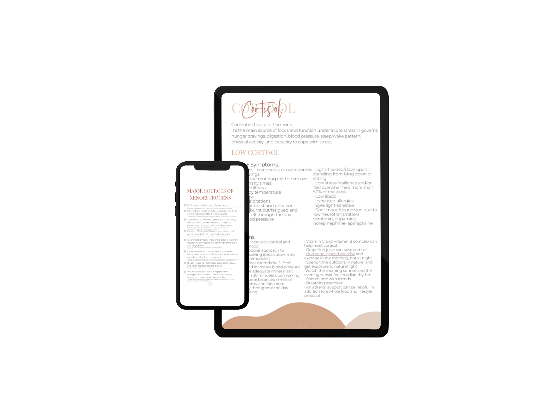 mockup-of-an-ipad-pro-and-an-iphone-11-pro-at-a-studio-2032-el1.png
