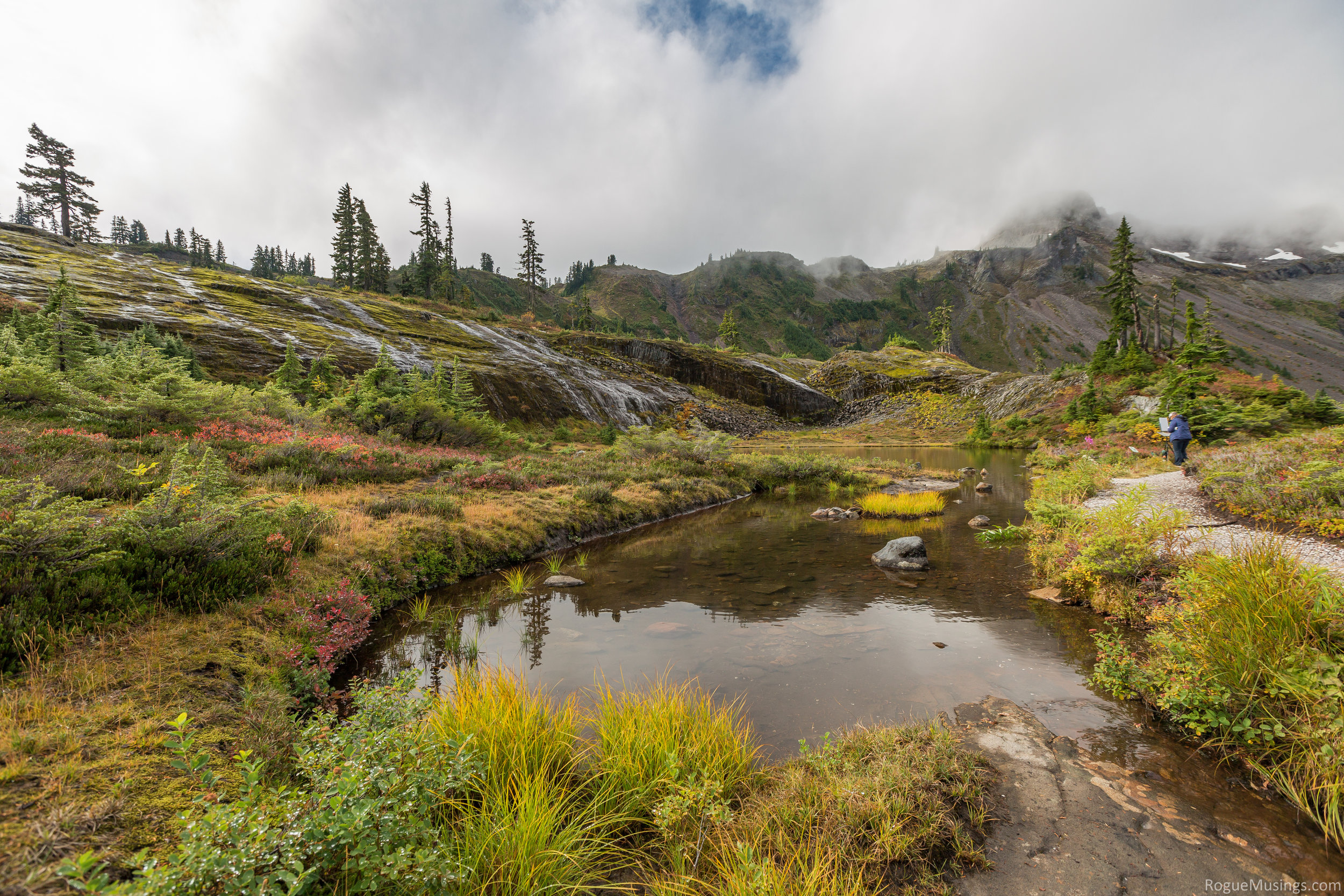 One of the many painters I shared a cabin with painting in Heather Meadows in Mount Baker National Park.&nbsp;