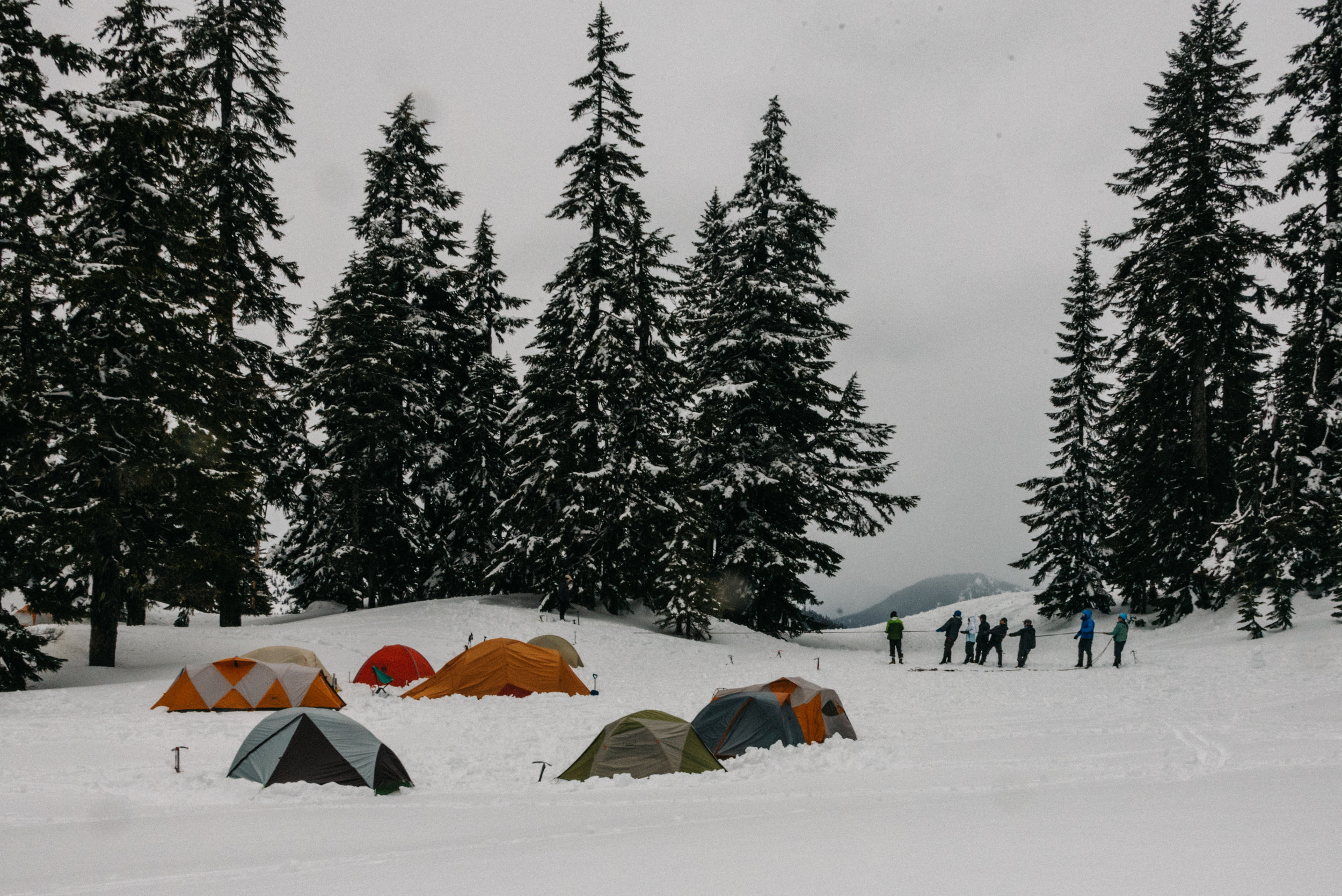 DSC_0678.JPG