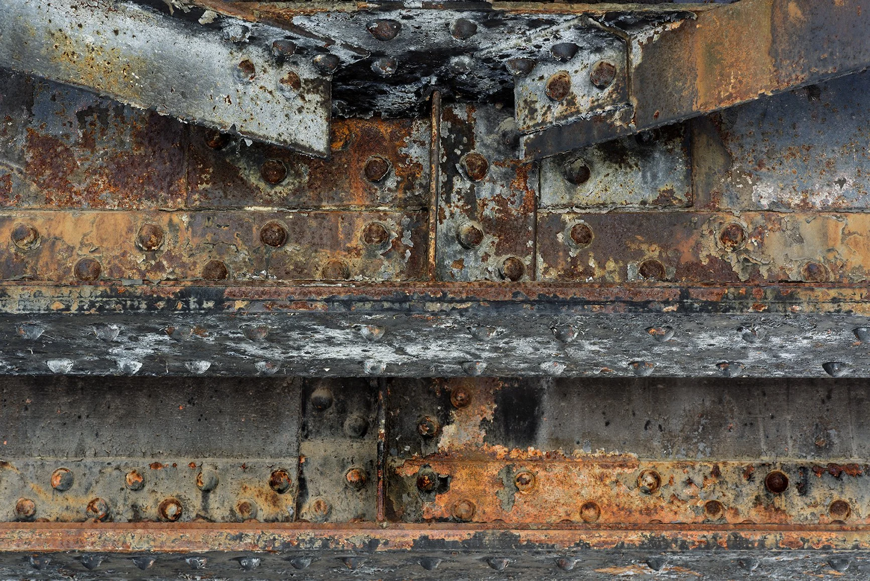 _DSC0321 24x16.072 JPEG Adapt-Color 115 Enhanced SR.01.jpg