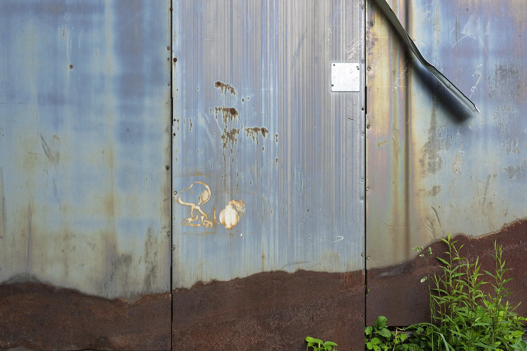 _DSC0088-JPEG 24x16.072 Auto Color Enhanced SR.01.jpg