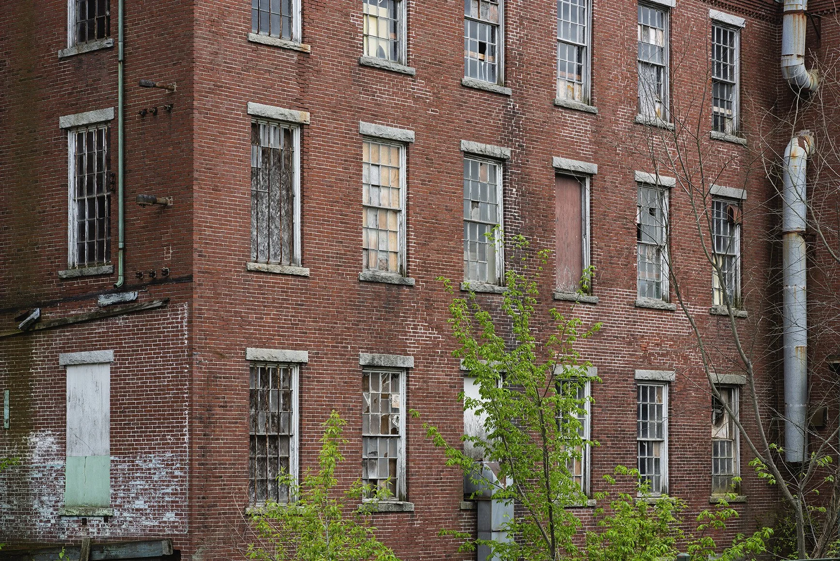 _DSC0629-JPEG 24x16.072 Auto Color Enhanced SR.01.jpg