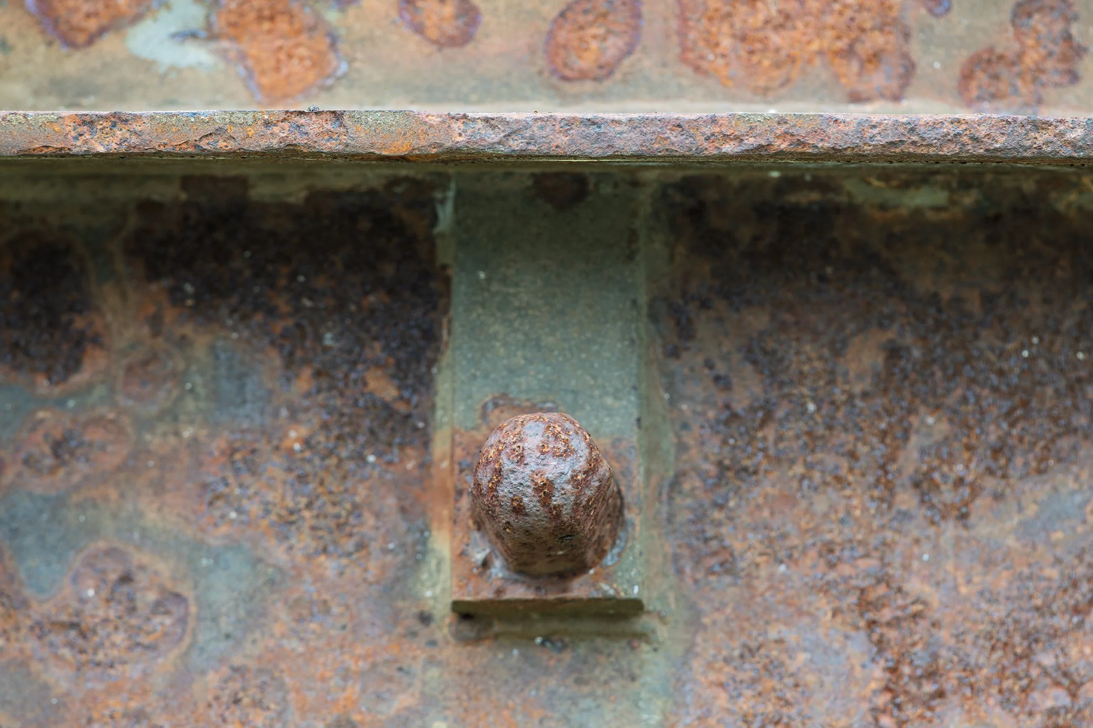 _8500484 JPEG 30x20.072 Adapt-Color Enhanced SR.01.jpg