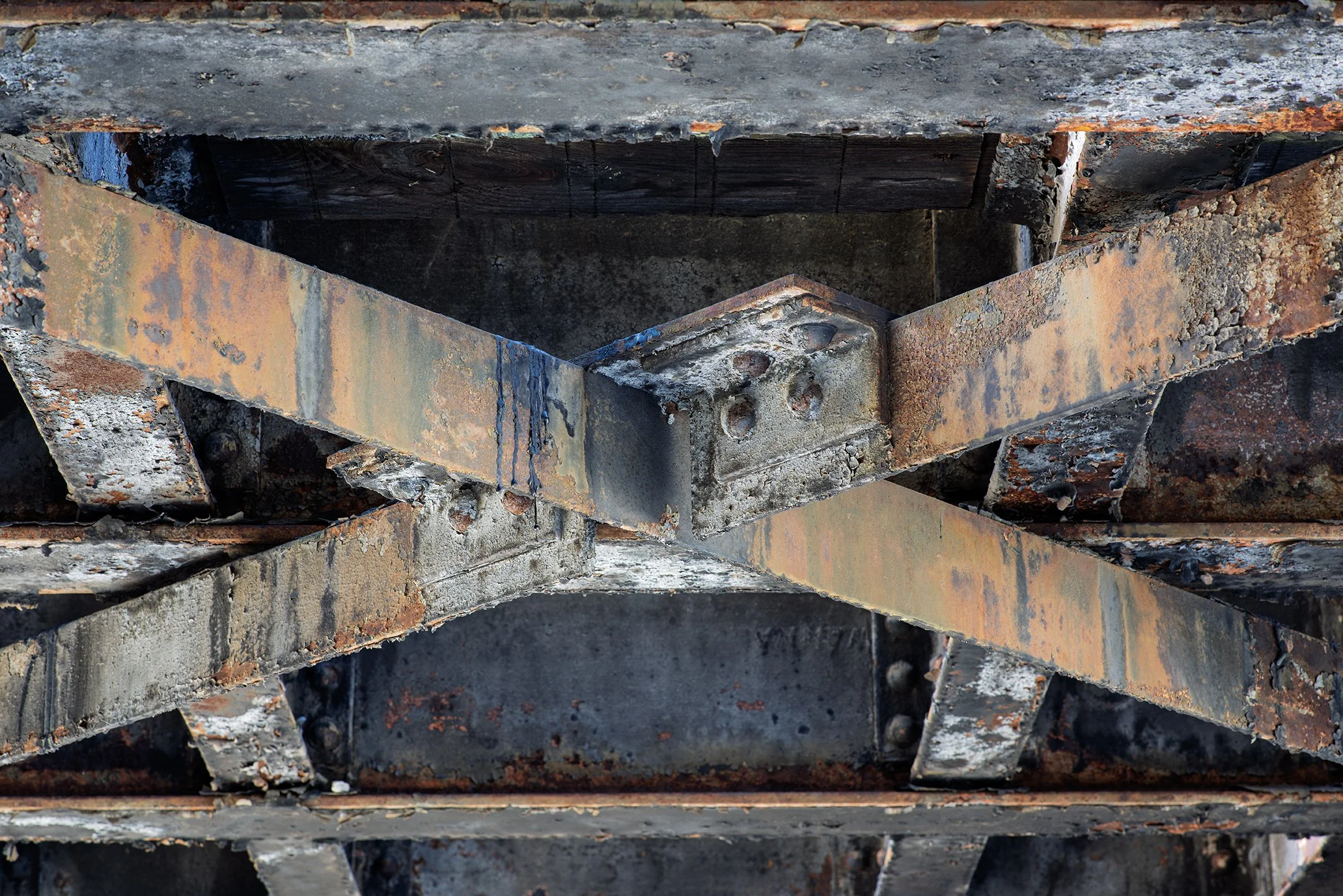 DSC0329 JPEG 30x20.072 Adapt-Color Enhanced SR.01.jpg