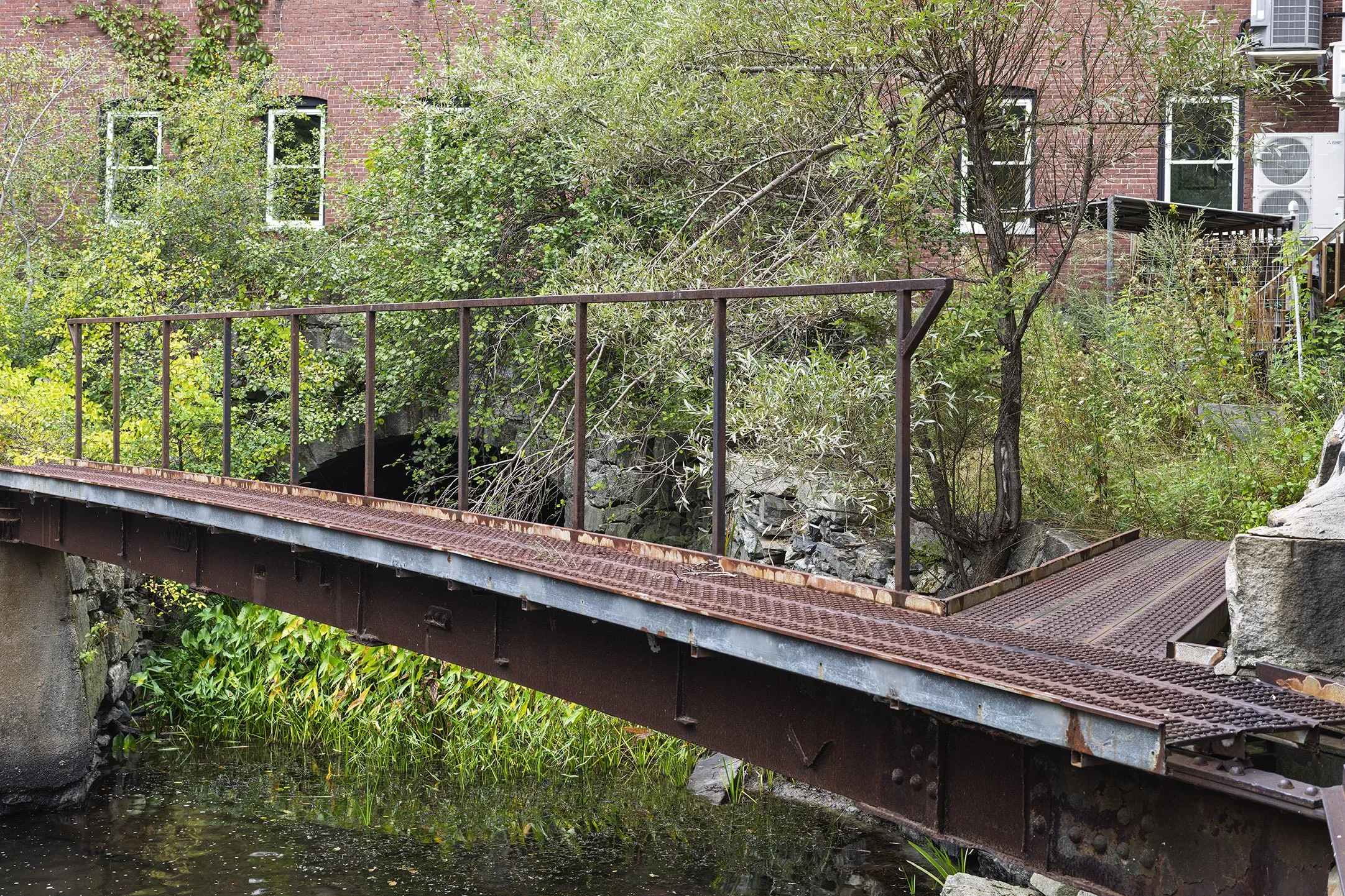 _8500374 JPEG 30x20.072 Adapt-Color Enhanced SR.01.jpg