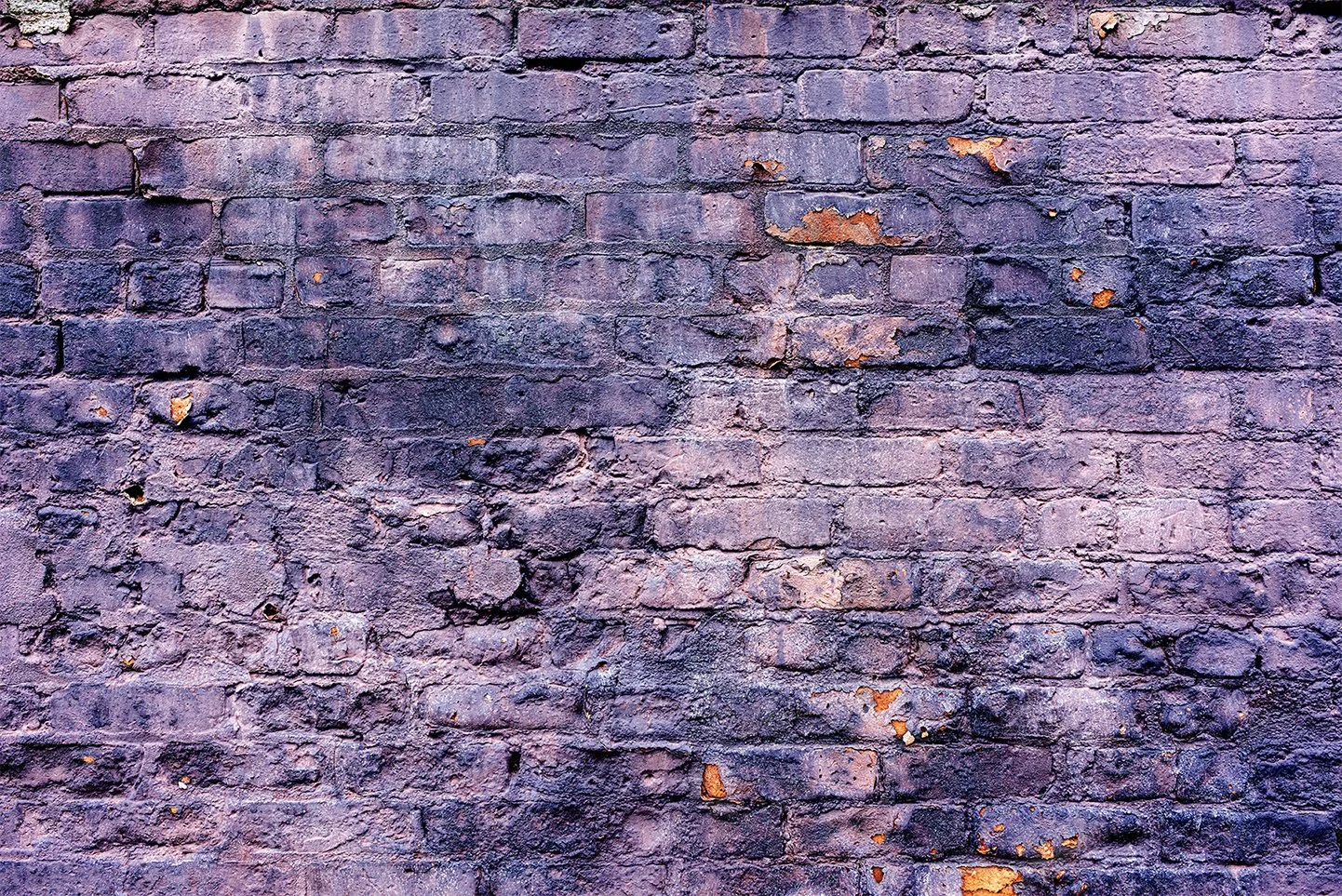 Act IV No.14, Purple Haze