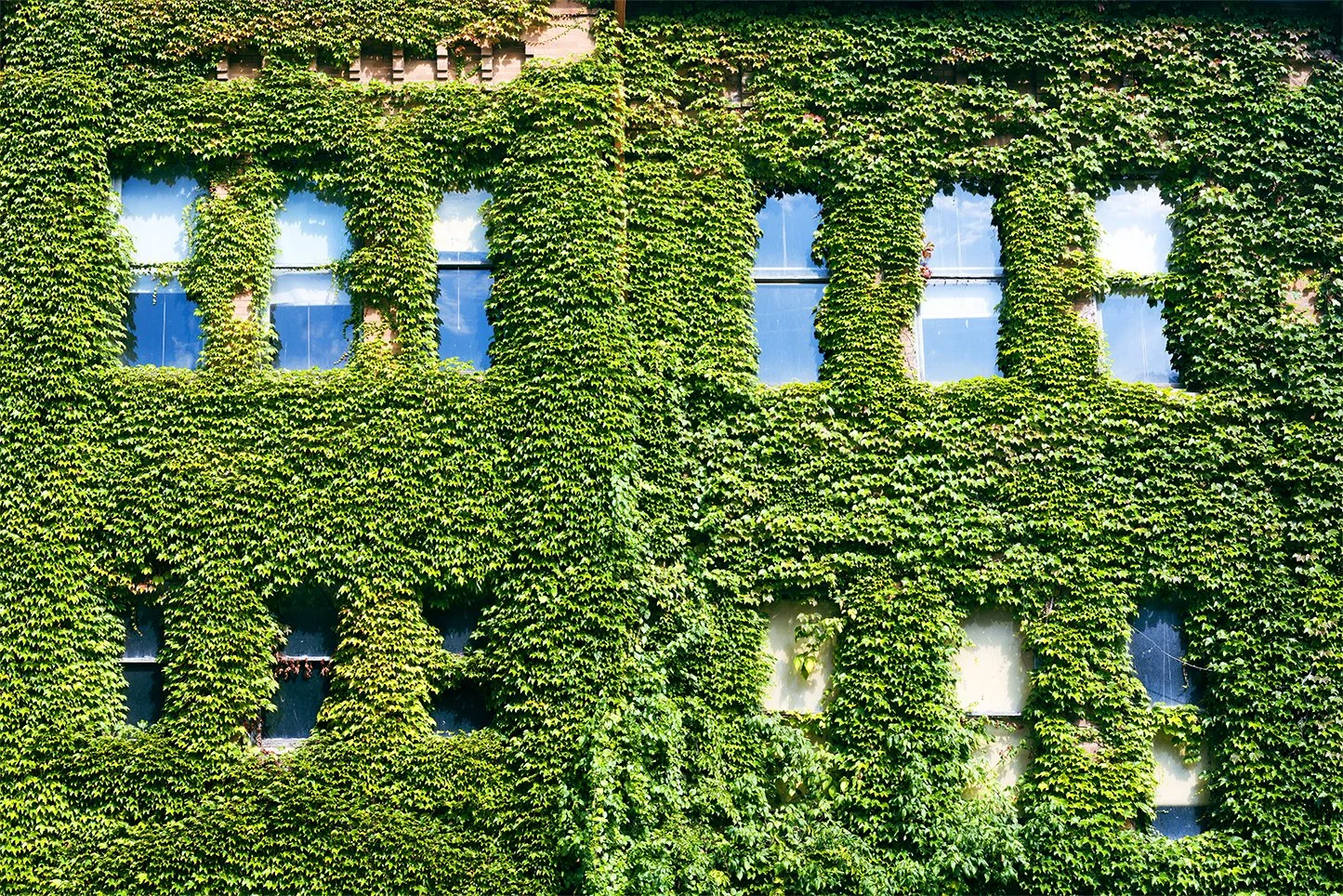 Act II No.07, St.Paul's School