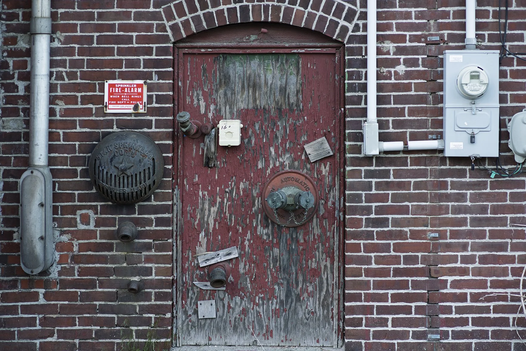 _DSC0118 JPEG 24x16.072 Auto Color Enhanced SR.01.jpg