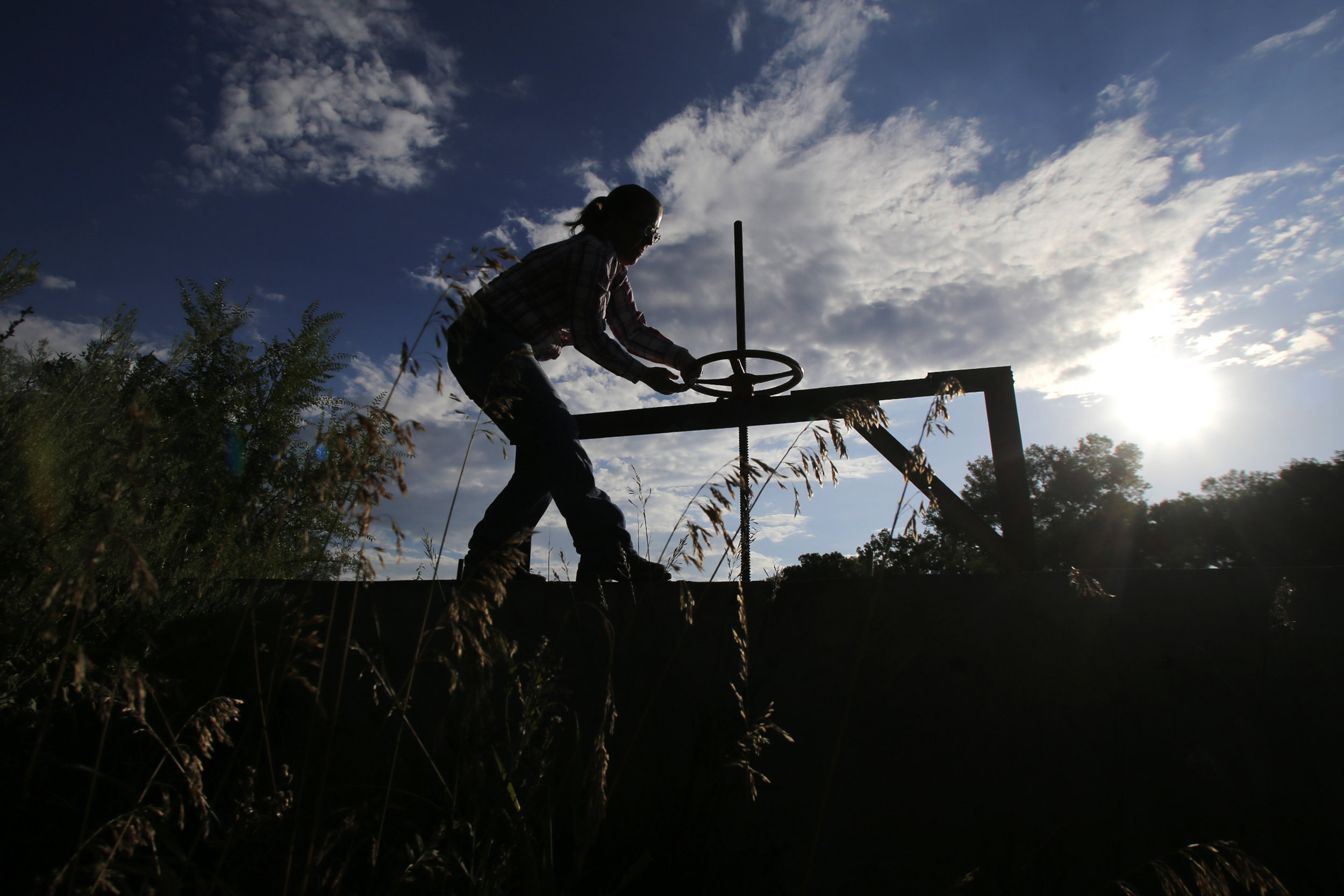Marybeth Friis opens the the Sargent Ditch irrigation gate, Saturday morning, Aug. 15, 2015, allowing water from the Animas River to resupply her family's irrigation ditch system with water from the Aniams River in Aztec, N.M.