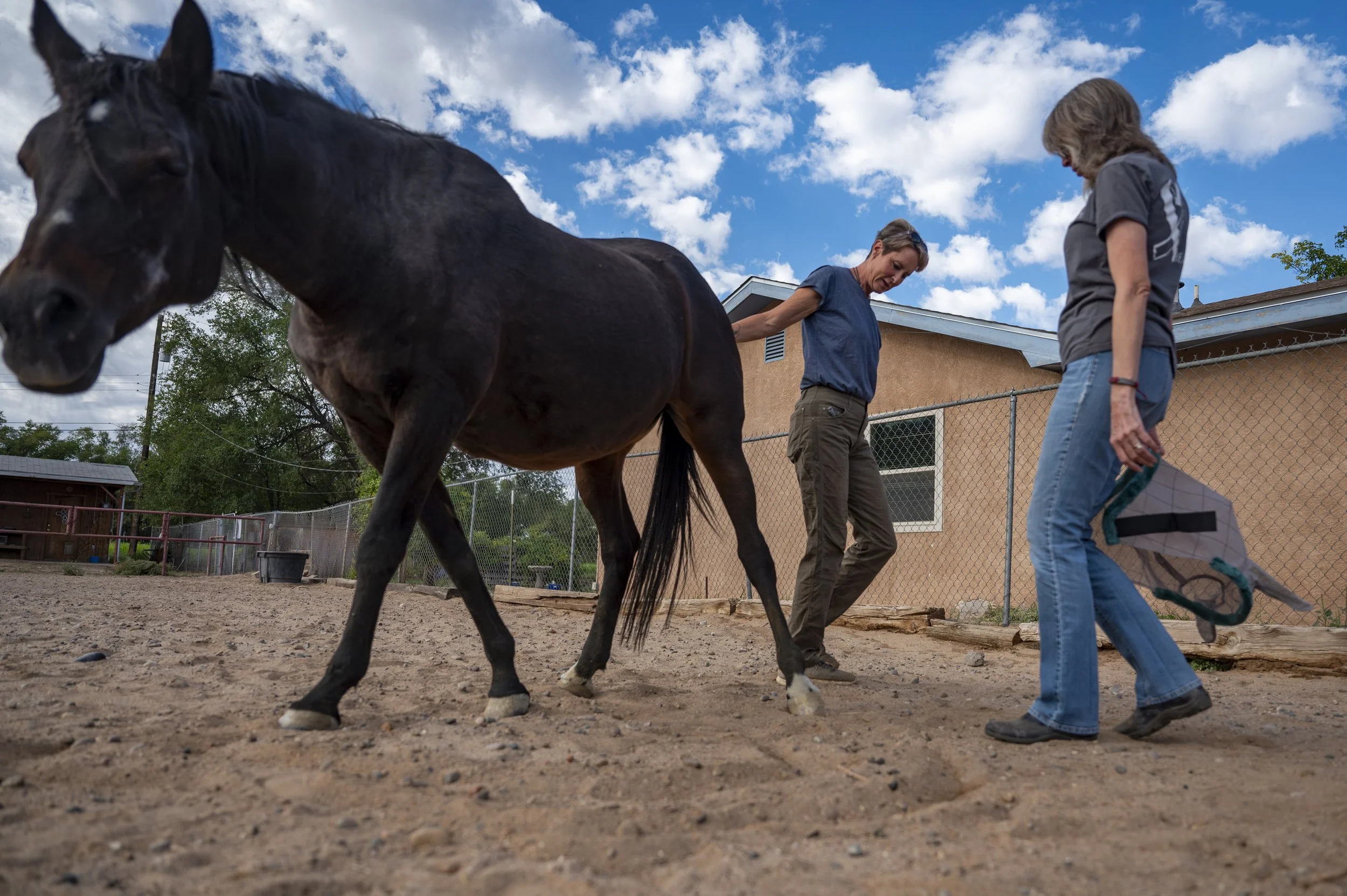  Diana DeBlanc, left, and Sharon Carr look over Lovie, Carr’s 30-year-old Arabian horse, in Los Lunas. 