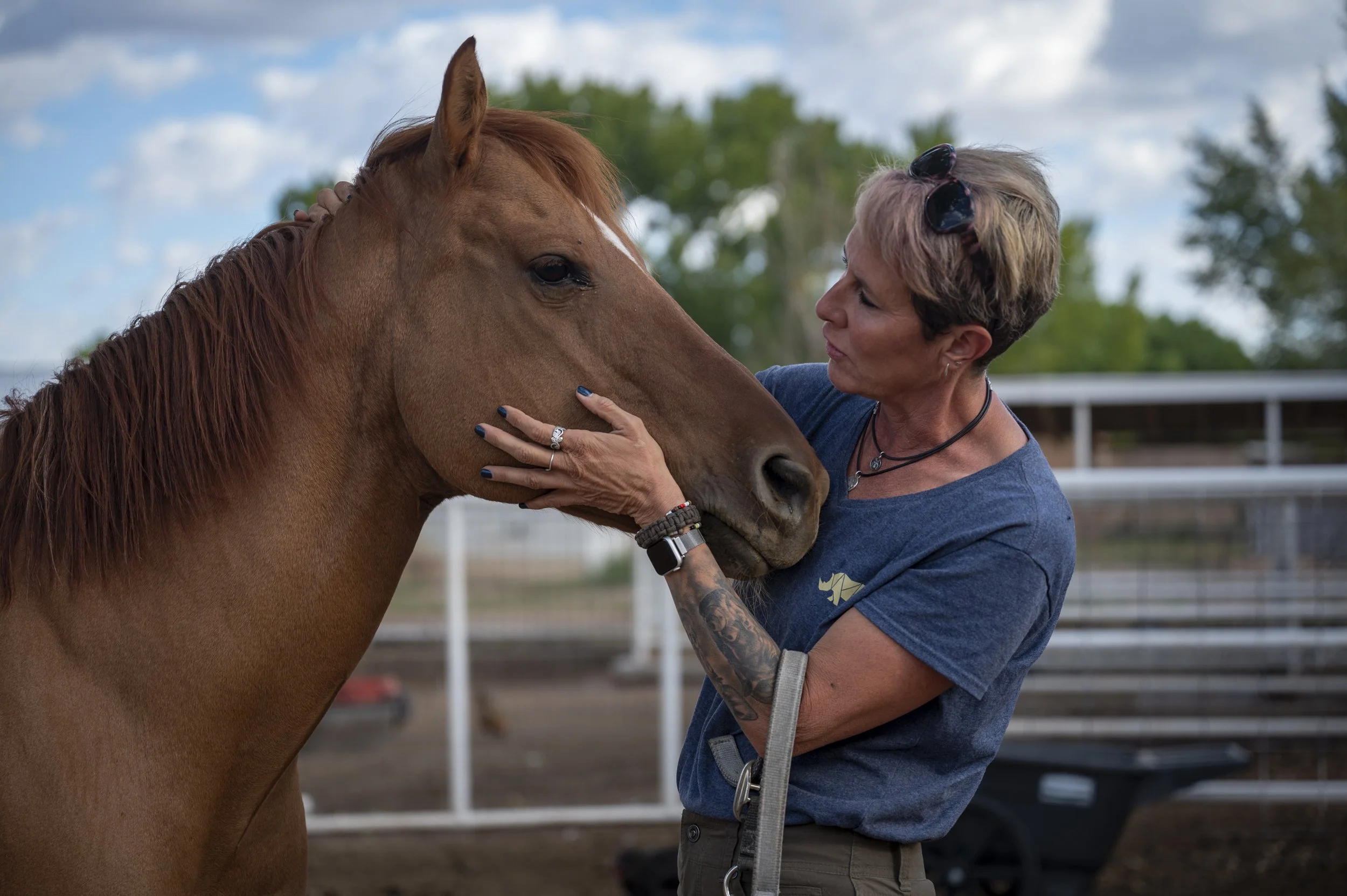  Albuquerque veterinarian Diana DeBlanc completes her examination of Lenny, a handsome red dun gelding, in Valencia County. 