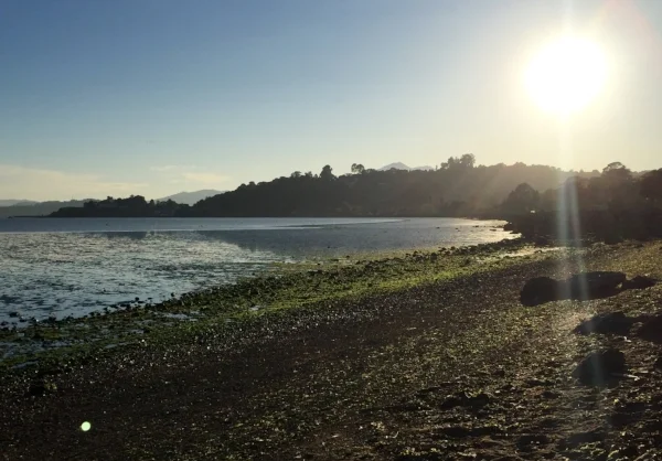 The Little Beach.jpg