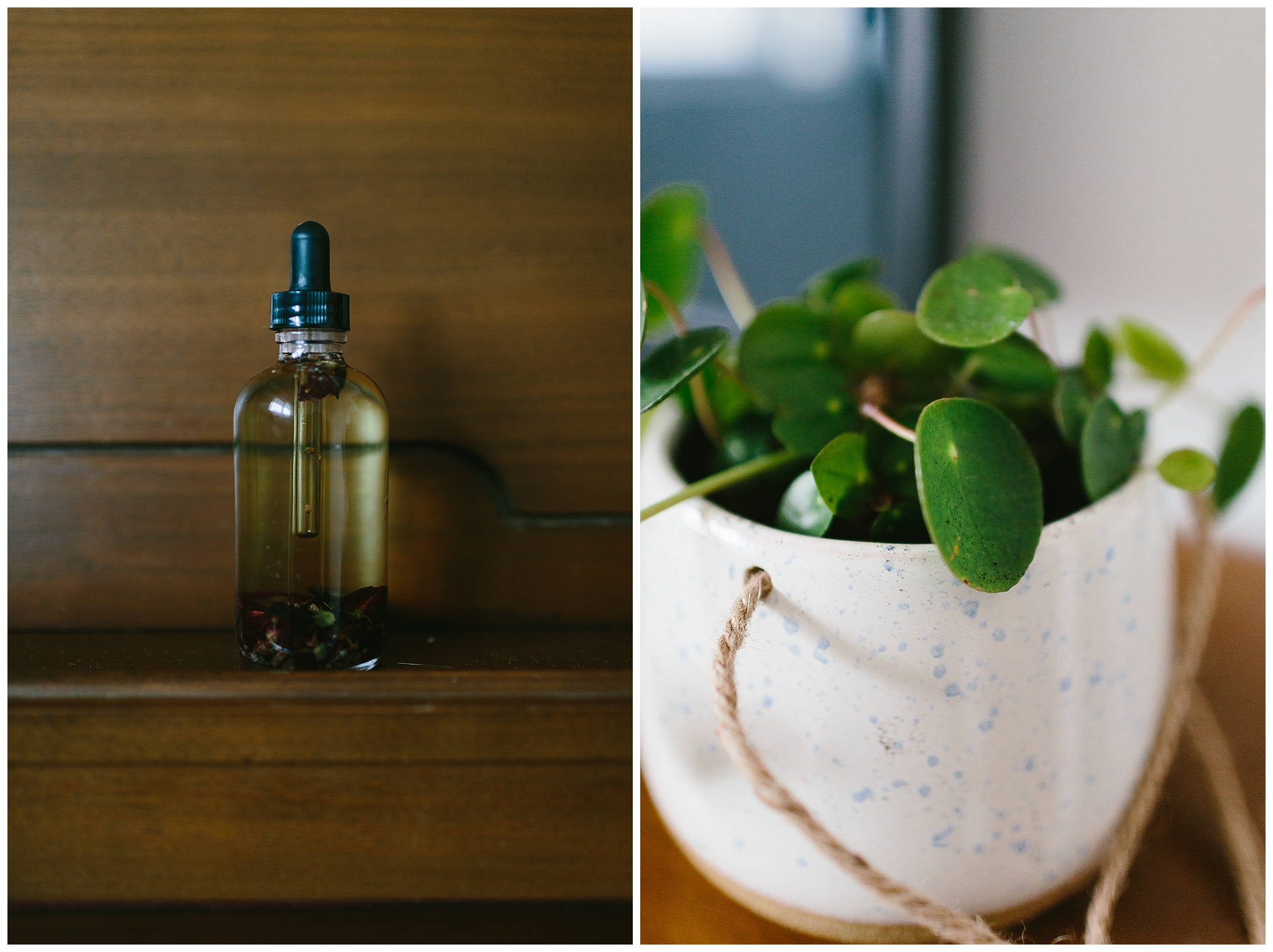Jack and Audrey’s lovely body oil bought at Pick Eco Refills downtown, and a Minter Gardens pilea.