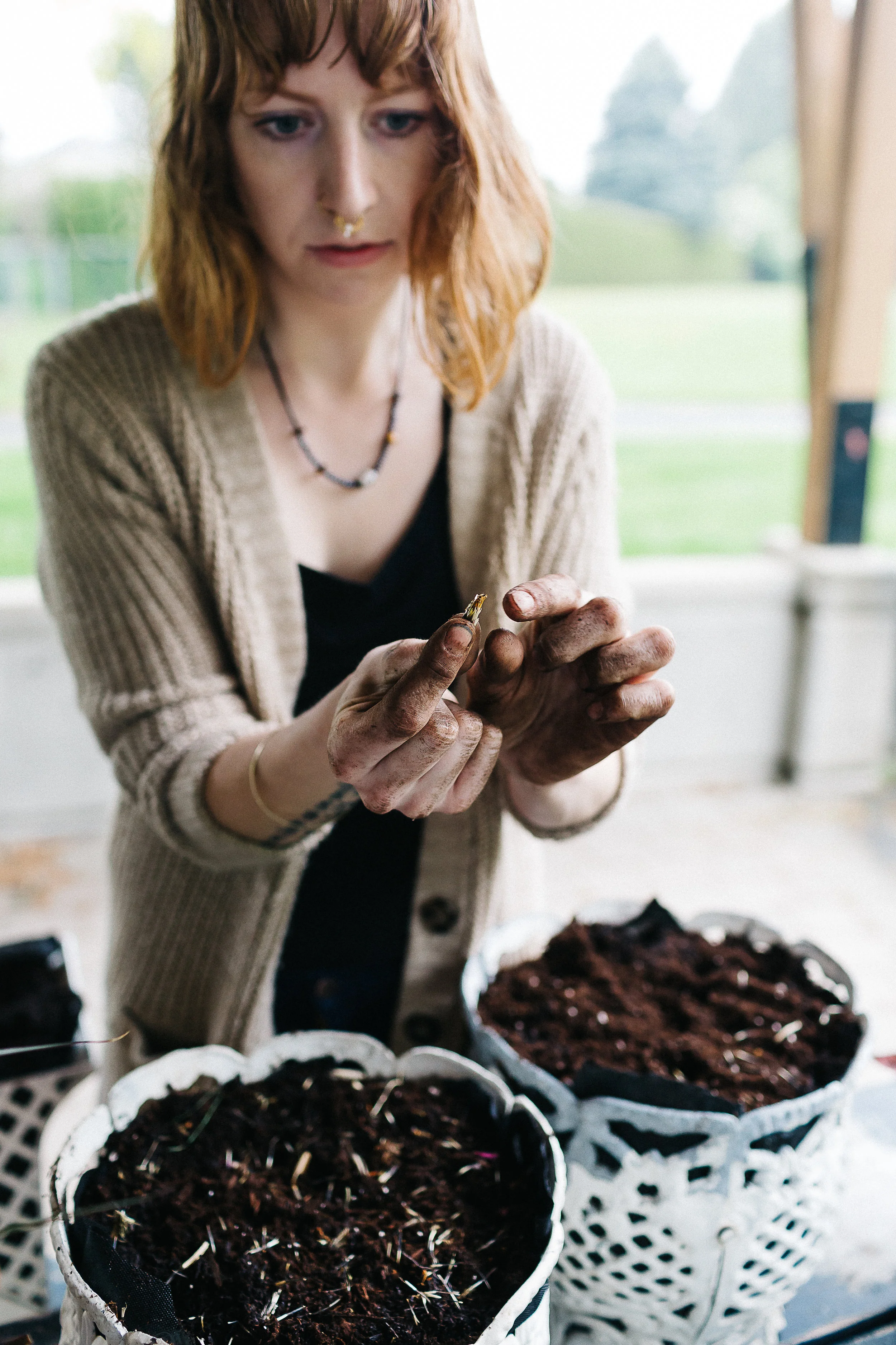 “5. This is a almost whole dried marigold and you can see where the seeds come from under the little orange petals.”