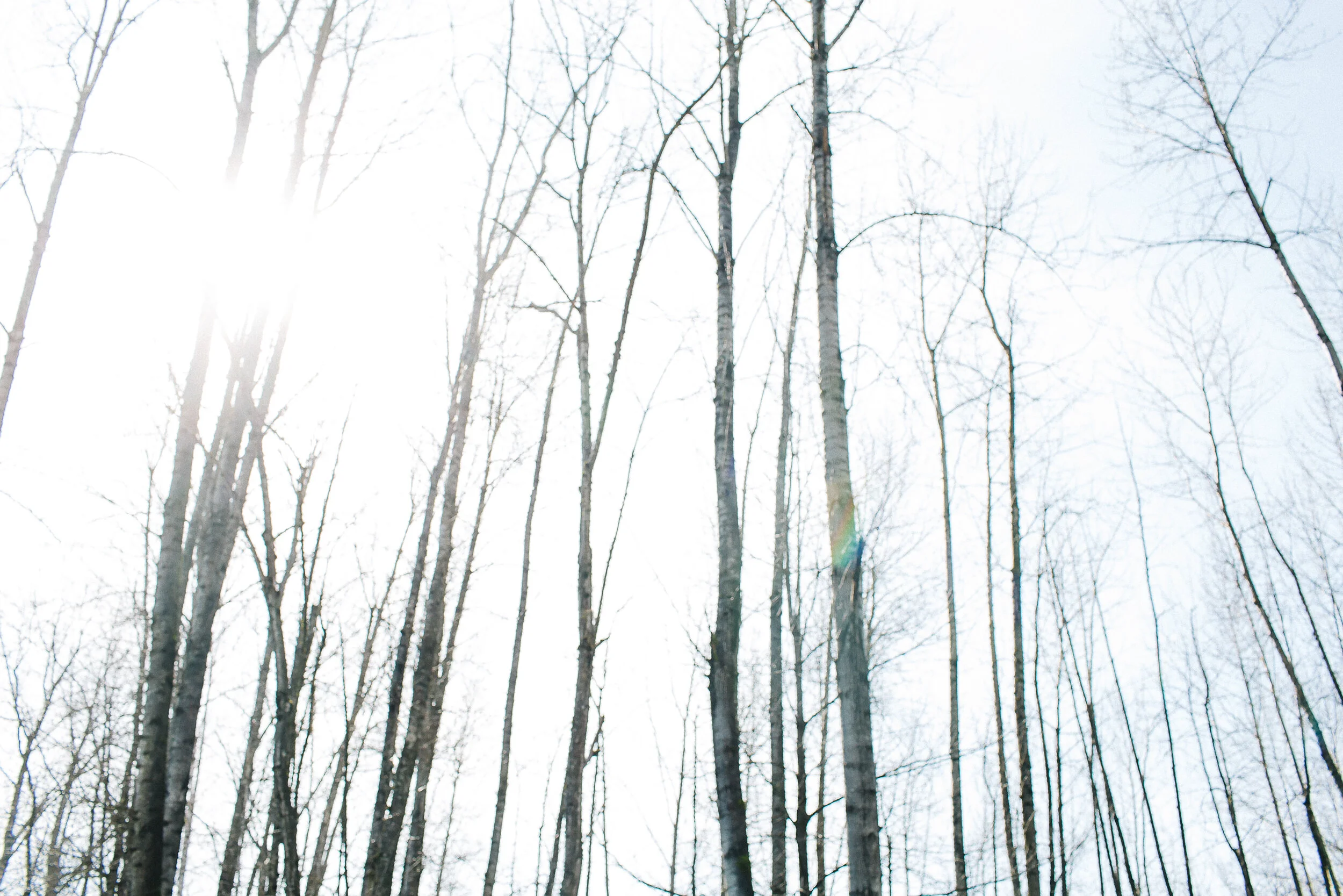 Life in a Quiet Hurricane | Navigating Quarantine