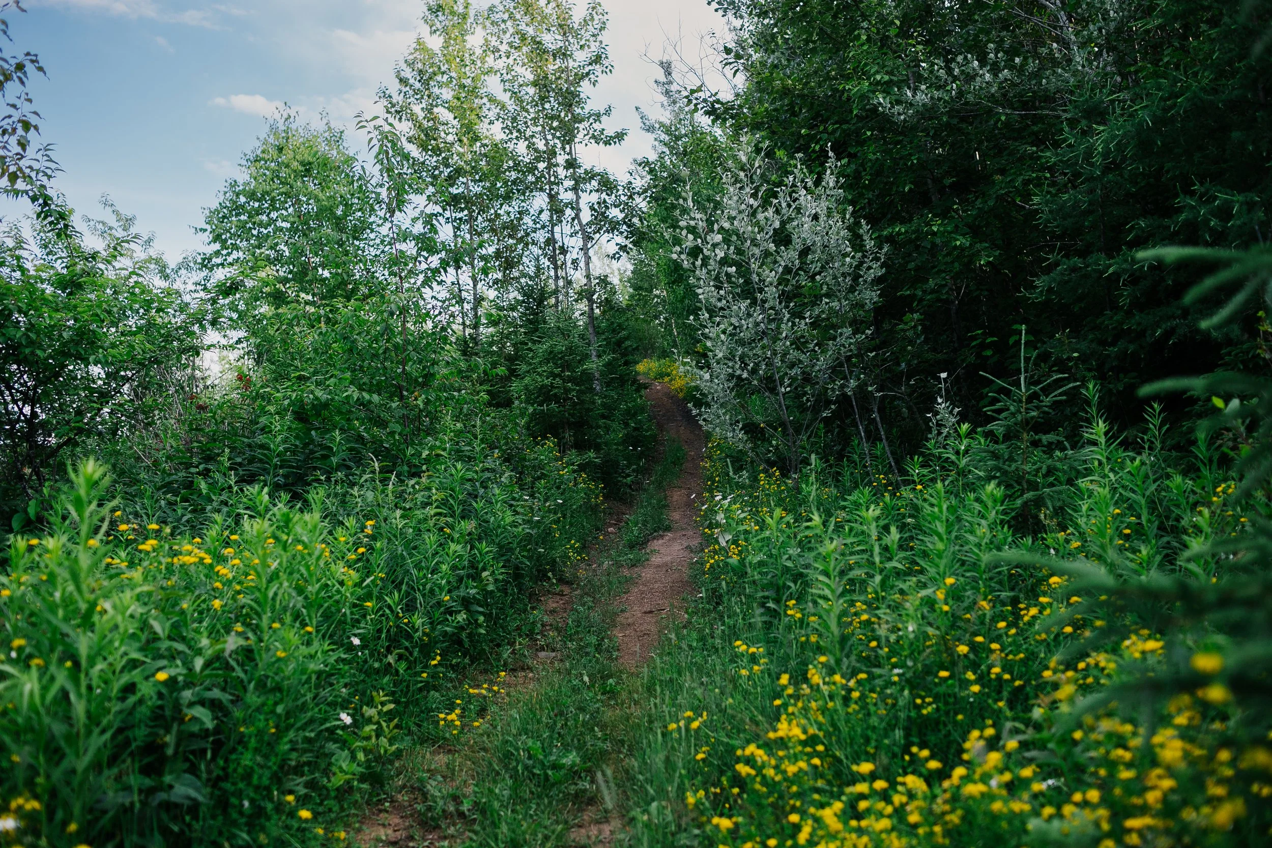 Wanders in northwestern Ontario... | Chilliwack Photographer
