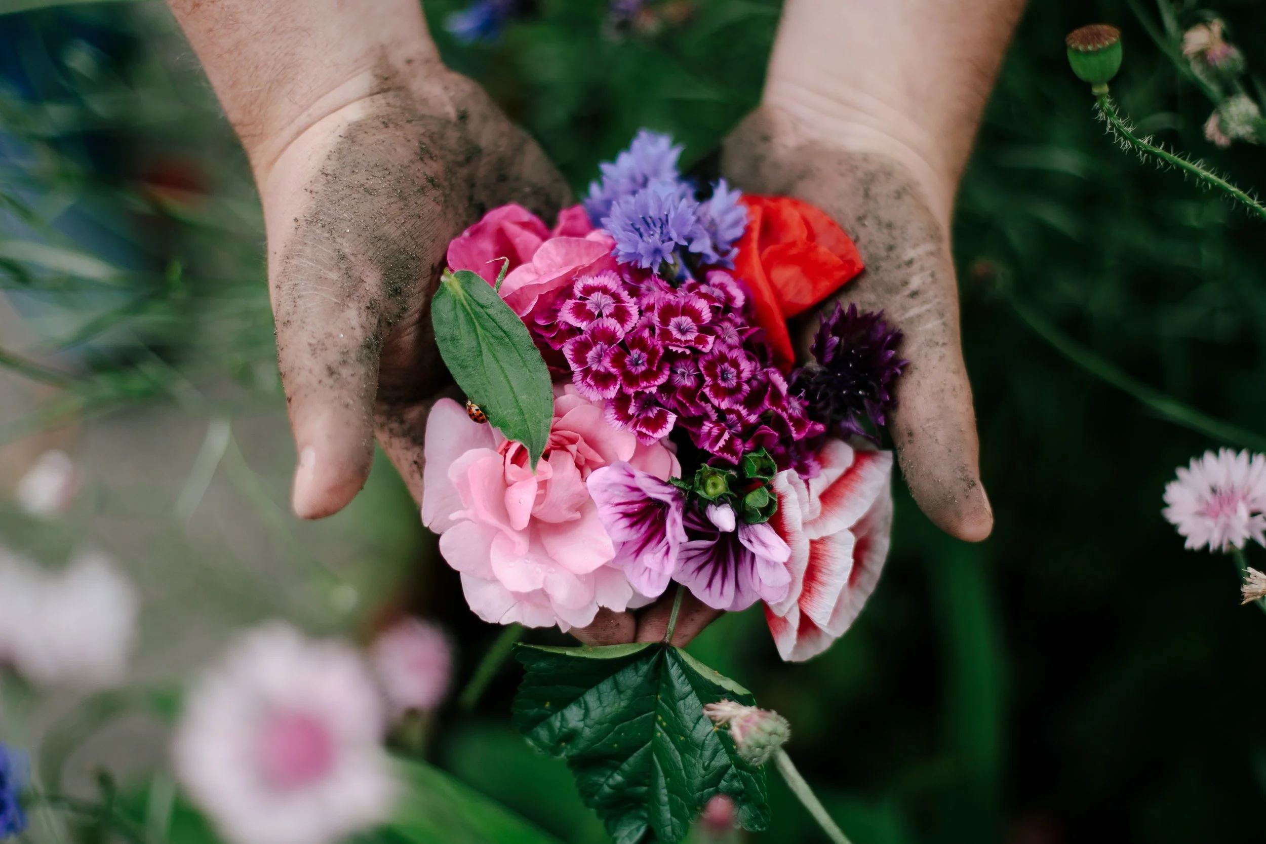 11_SarahSovereignPhotography_GriefGarden.JPG